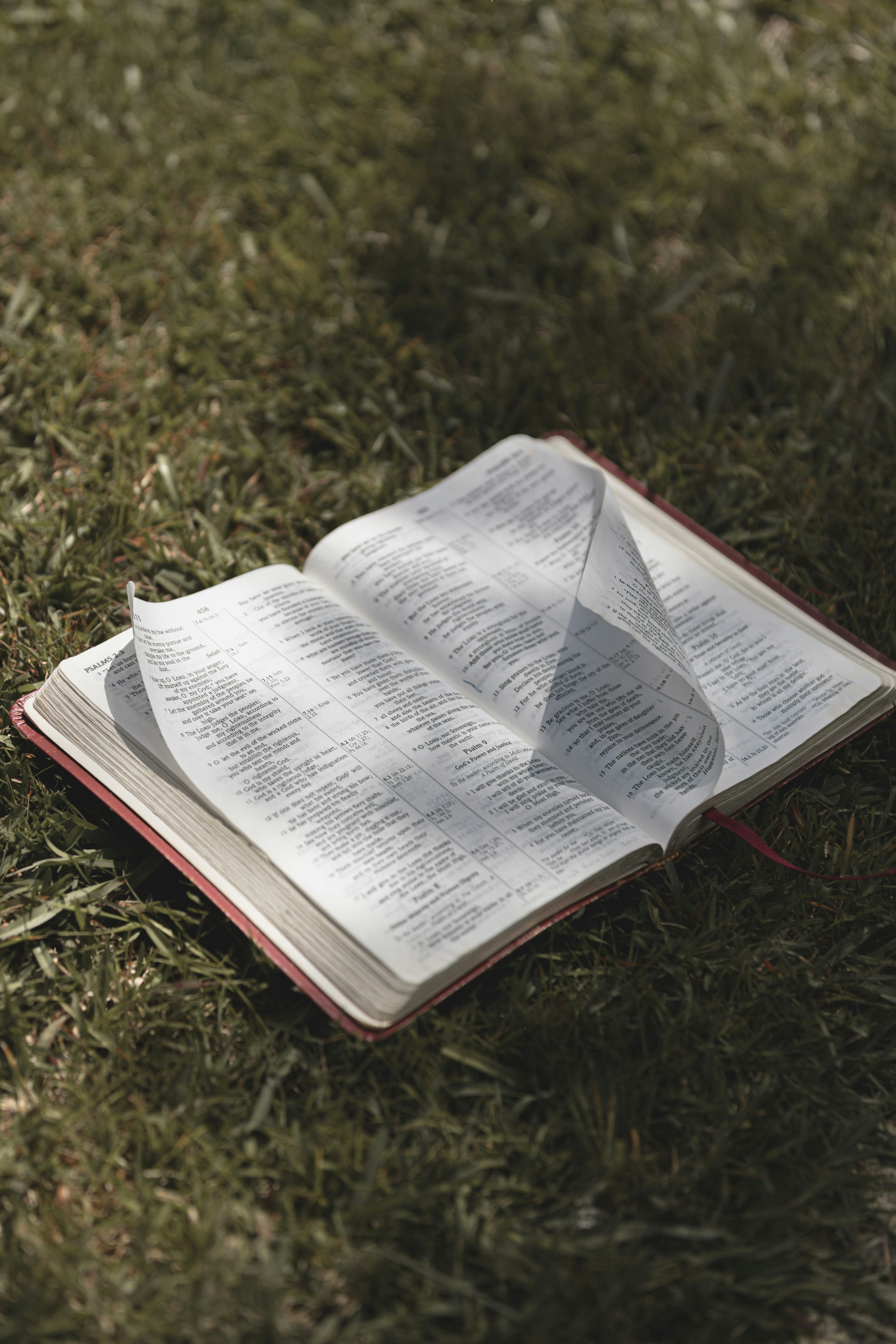 Photo by createinme_nz