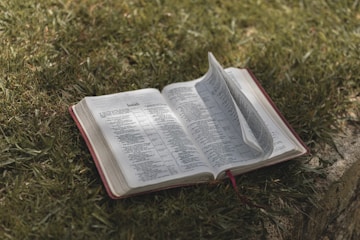 an open book sitting on top of a lush green field