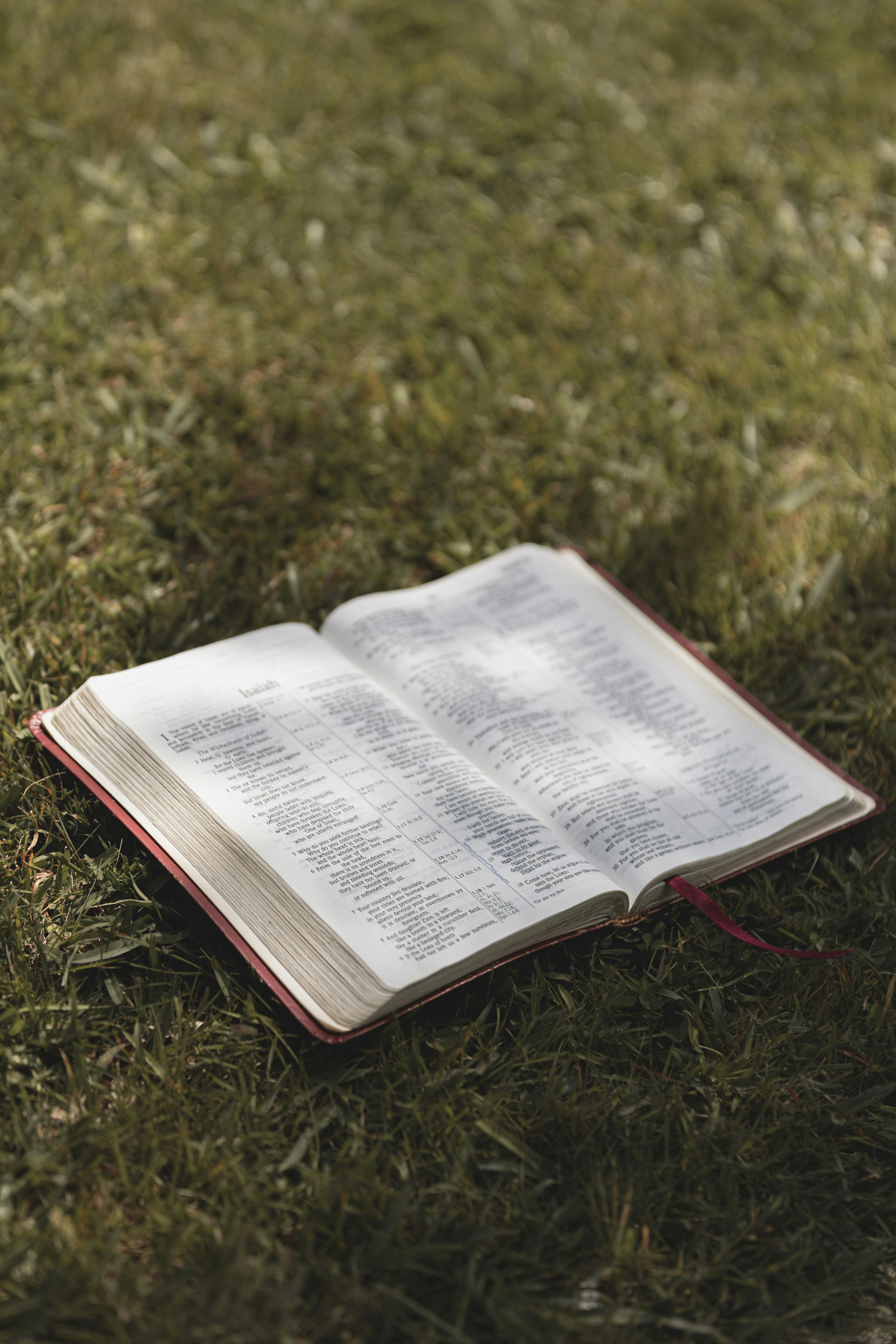 Photo by createinme_nz