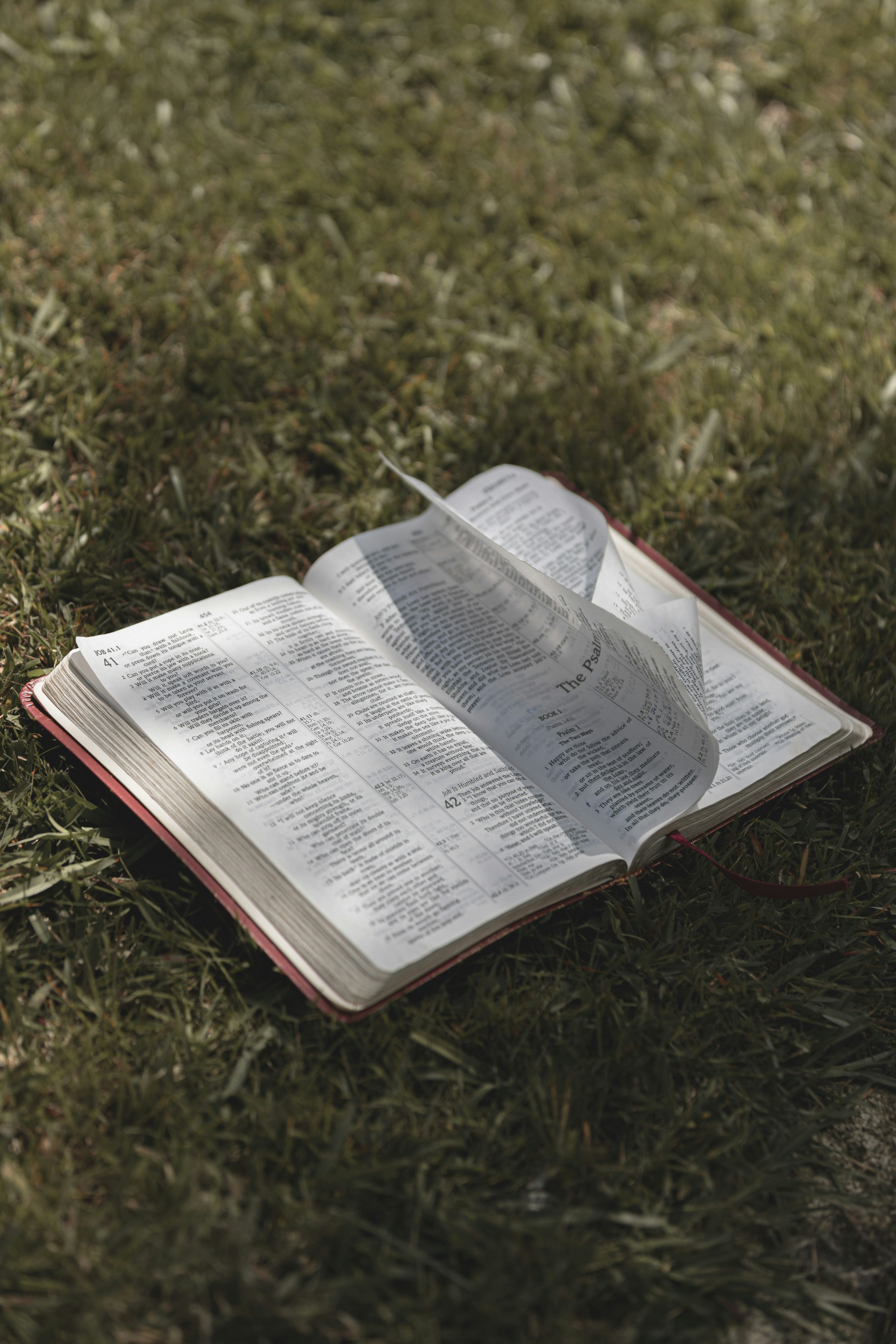 Photo by createinme_nz