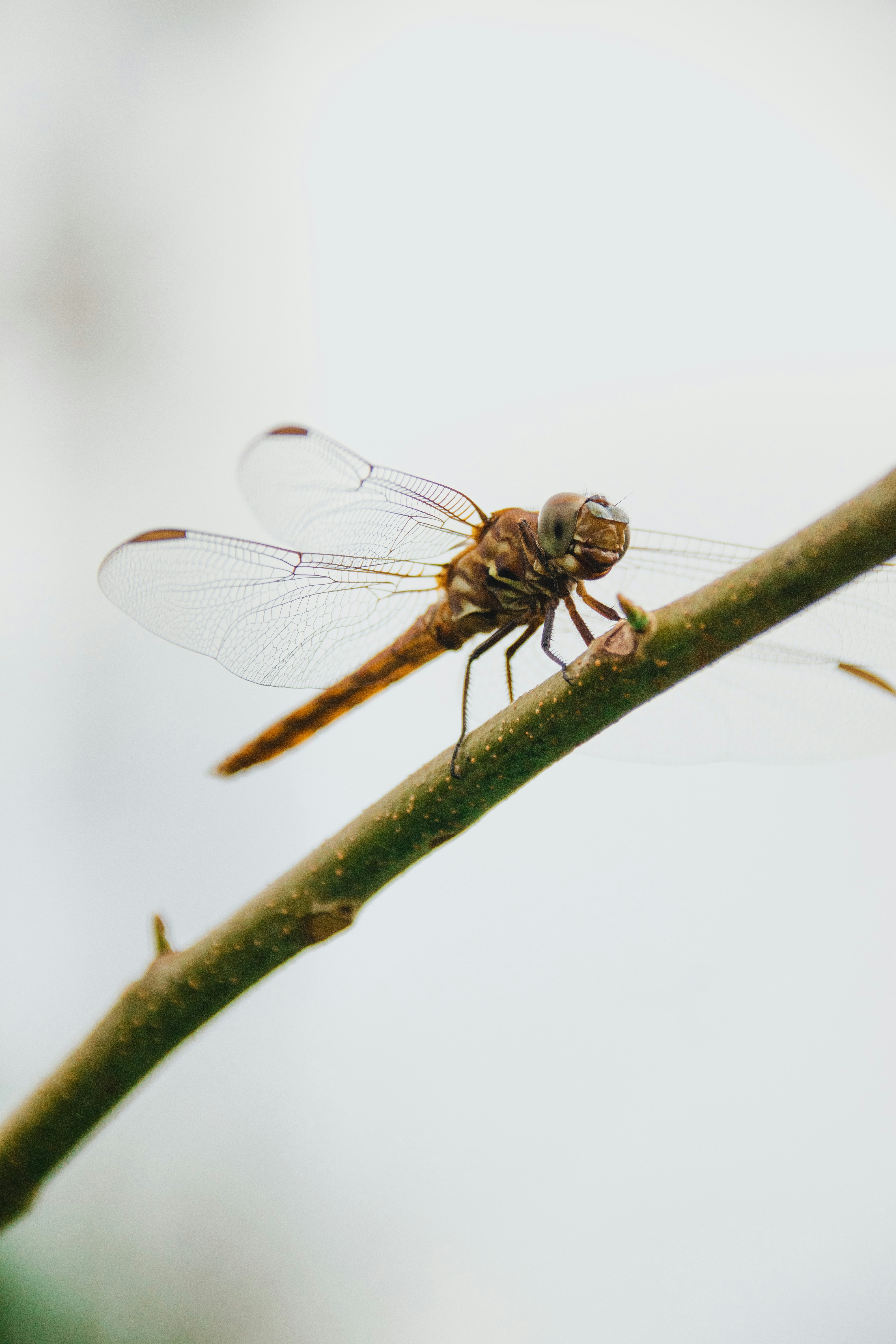 Photo by longlivehaas