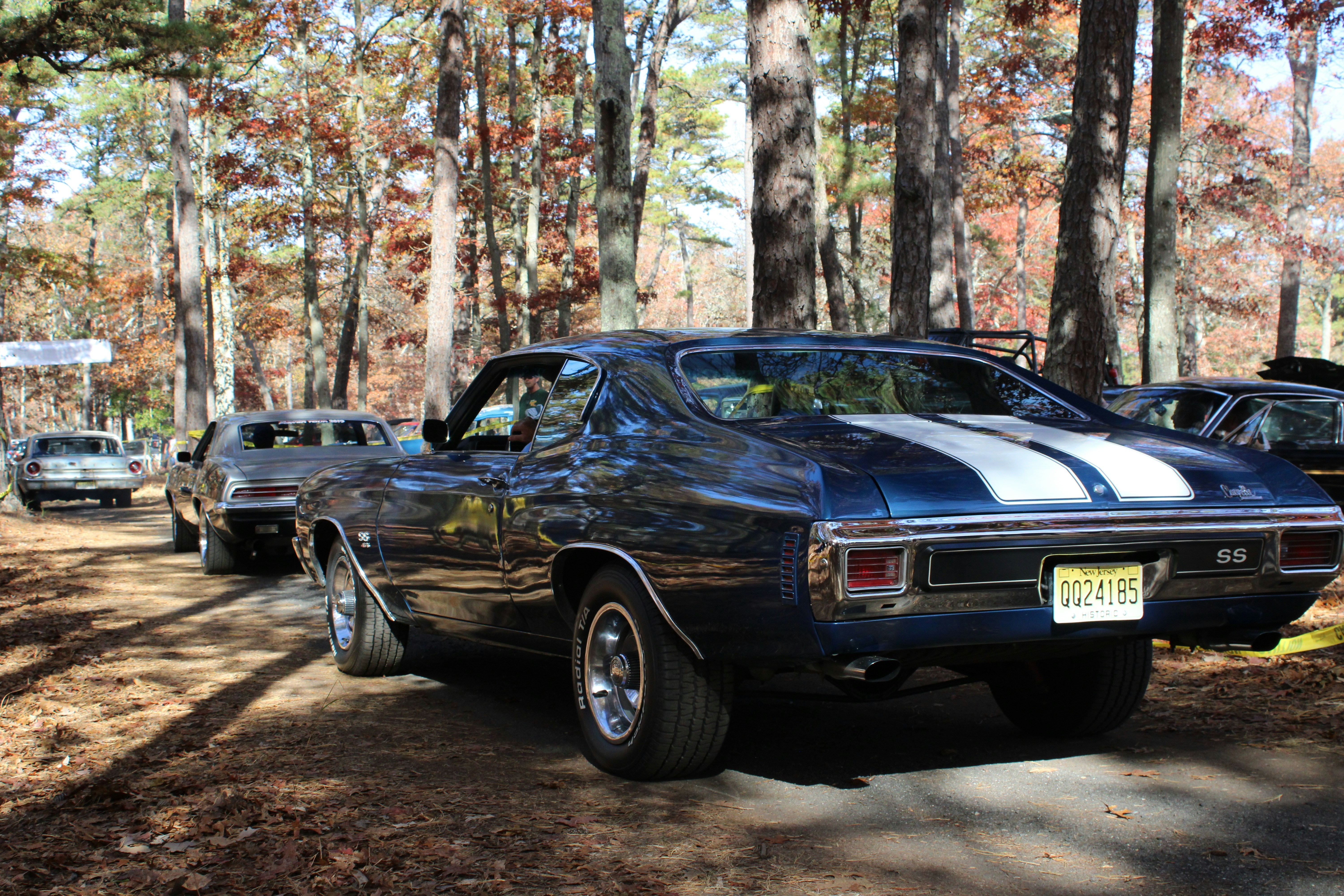 a group of cars parked next to each other in a forest