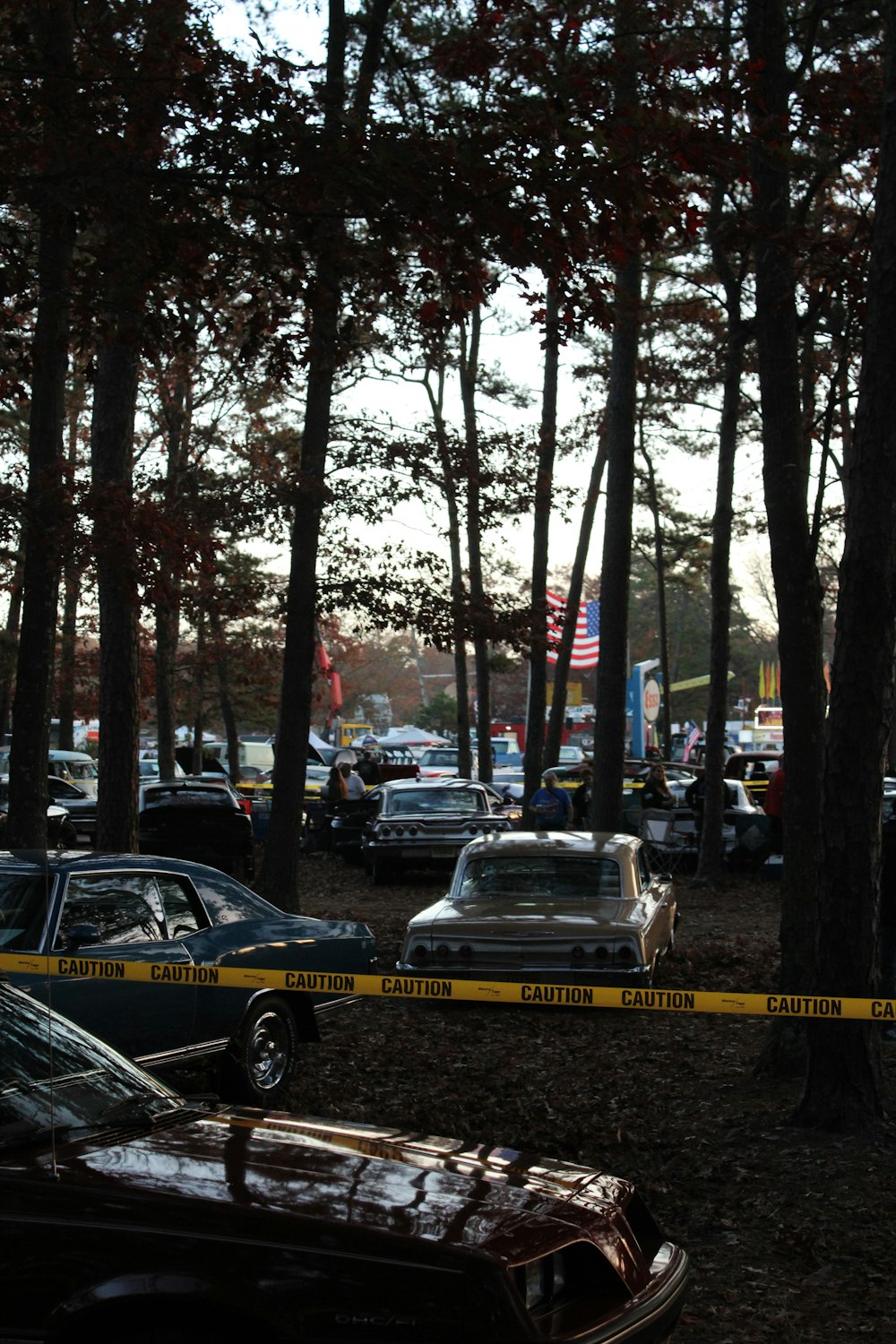 a group of cars parked in a parking lot next to trees