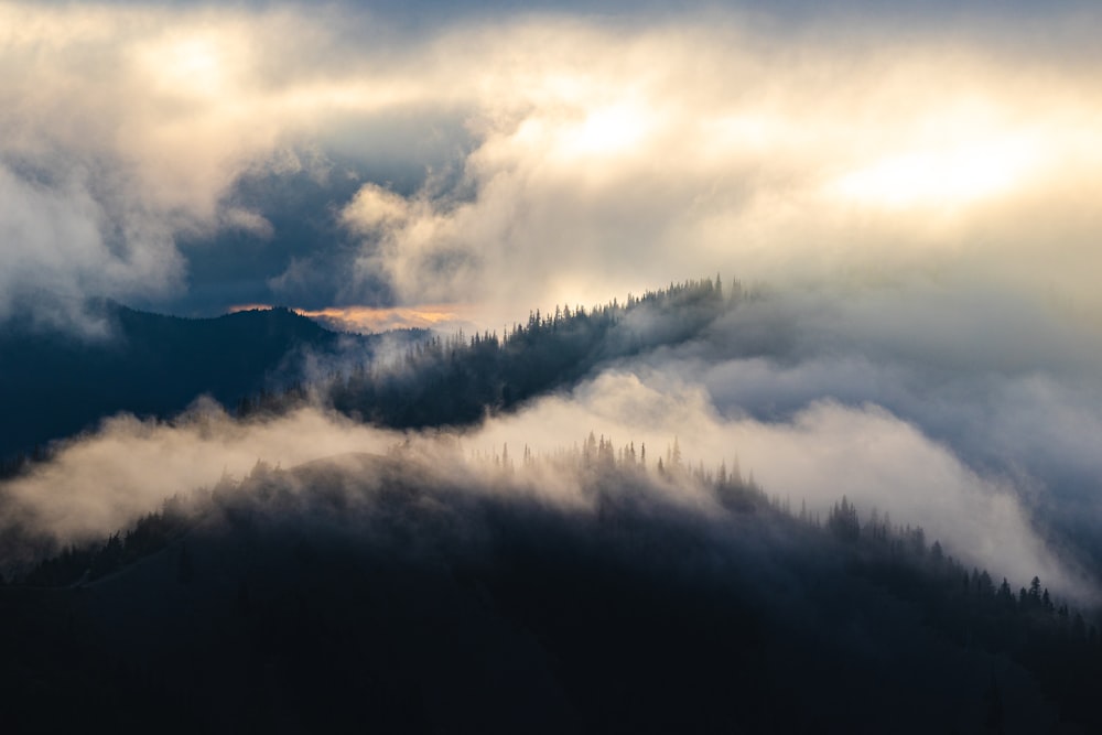 a mountain covered in clouds and trees under a cloudy sky