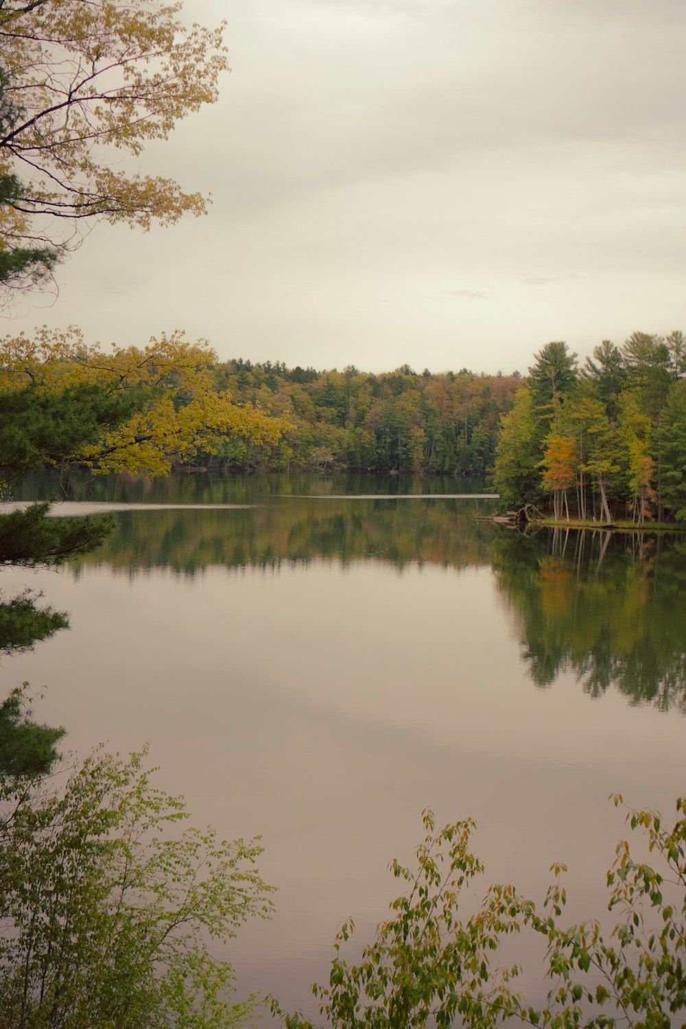 a large body of water surrounded by trees