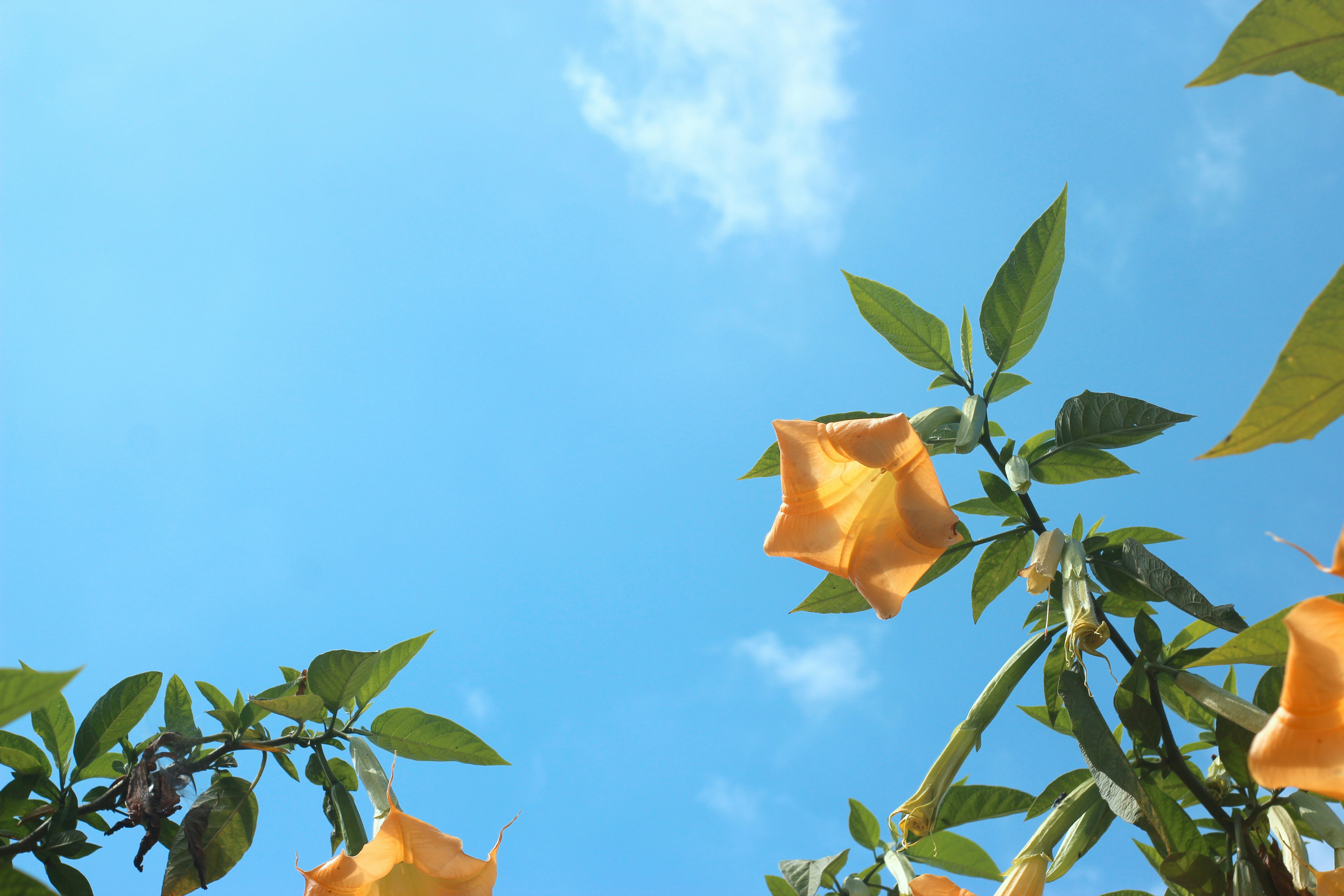 Photo by rizalimajid