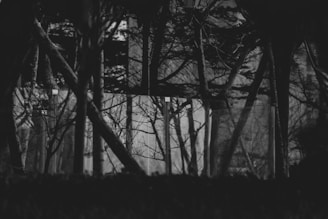 A wide shot from a video featuring an intriguing setting that invites curiosity.