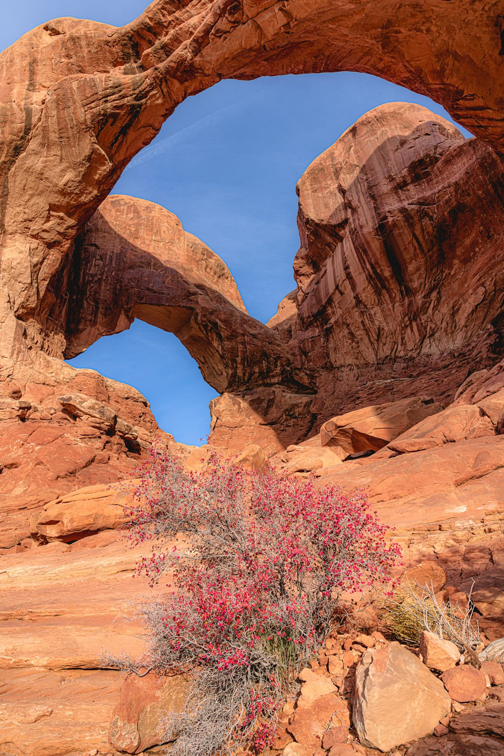 a rock formation with a small tree in the foreground