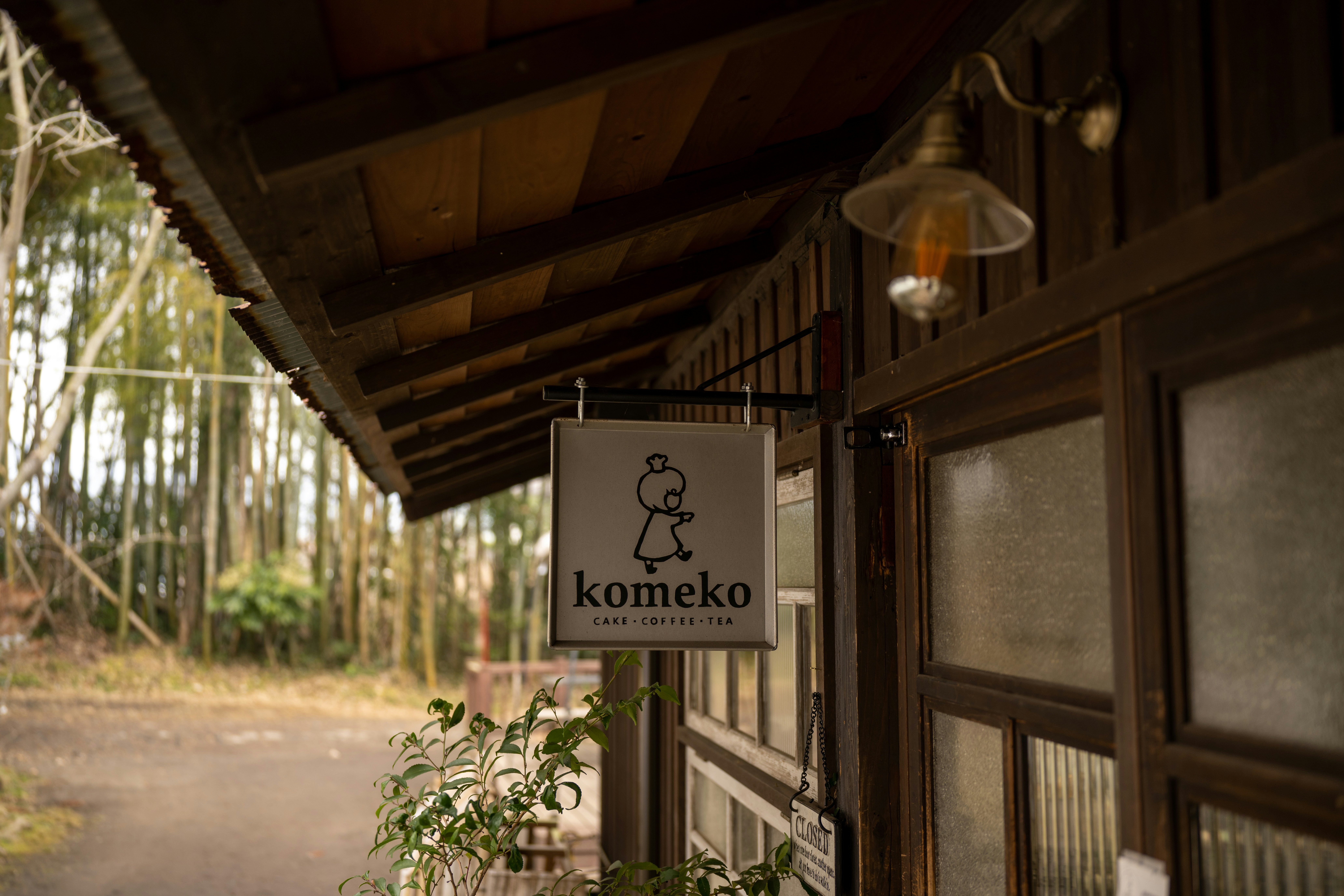 Shirakami Sanchi forest café
