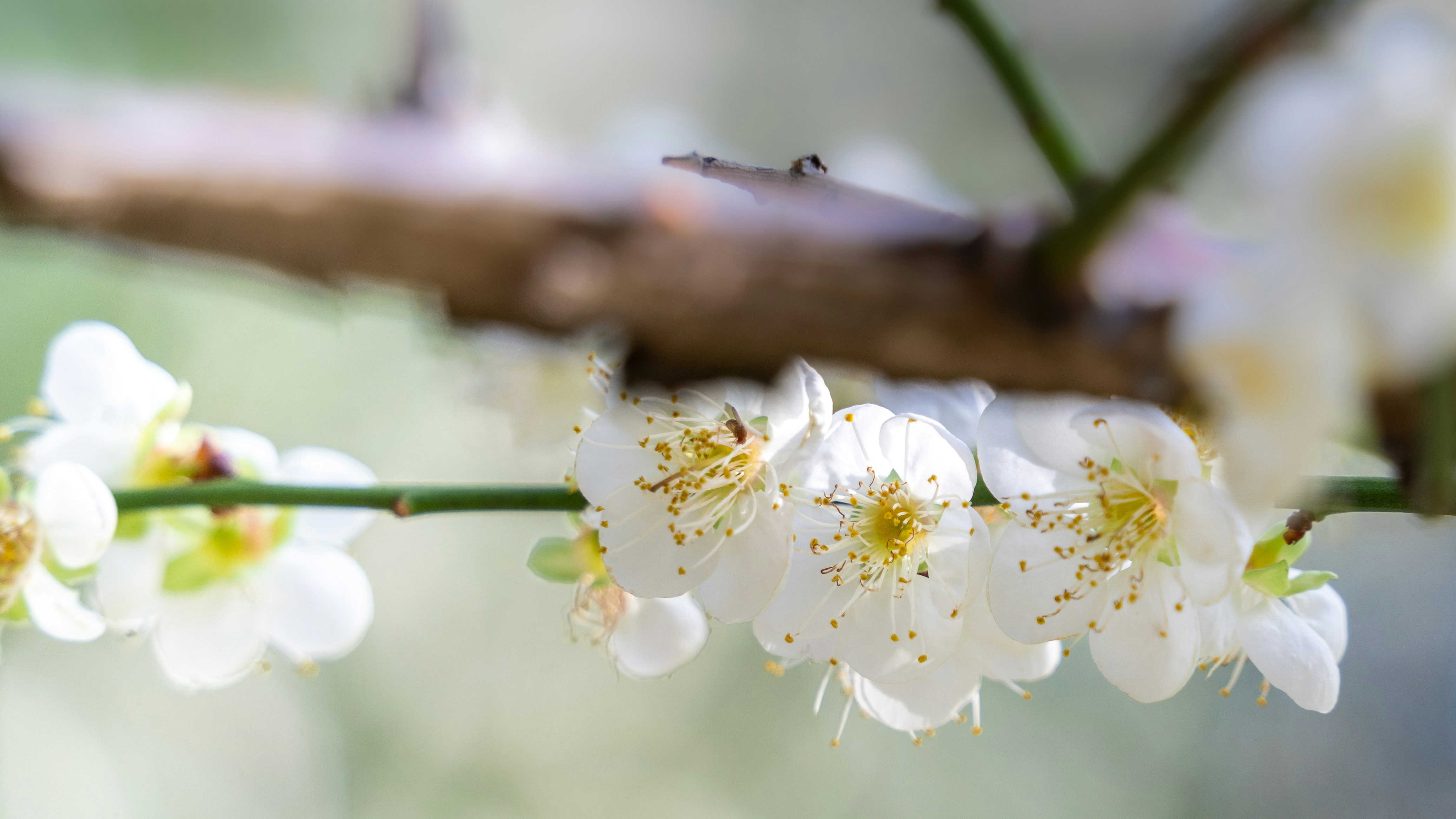 Photo by winstonchen