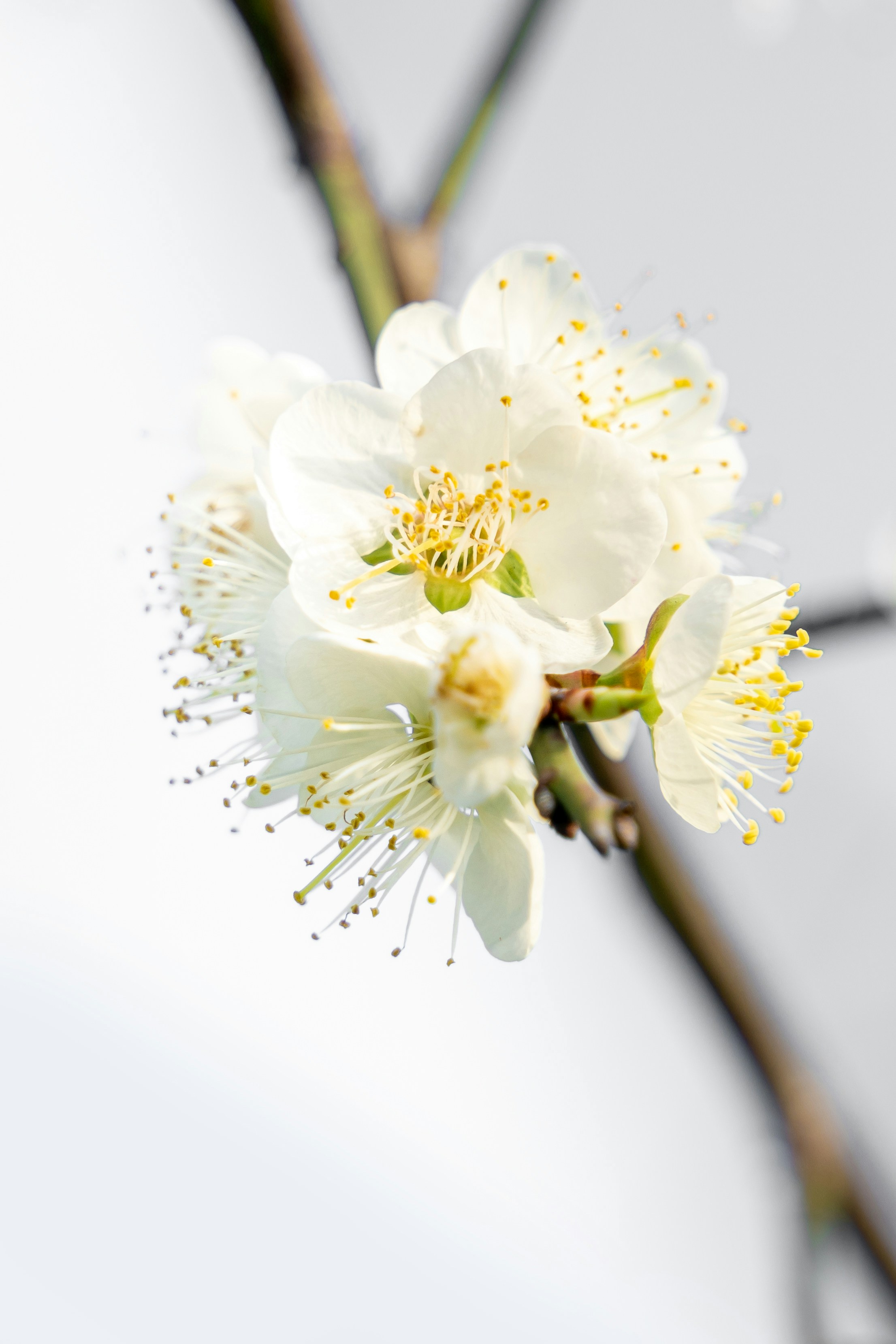 Photo by winstonchen