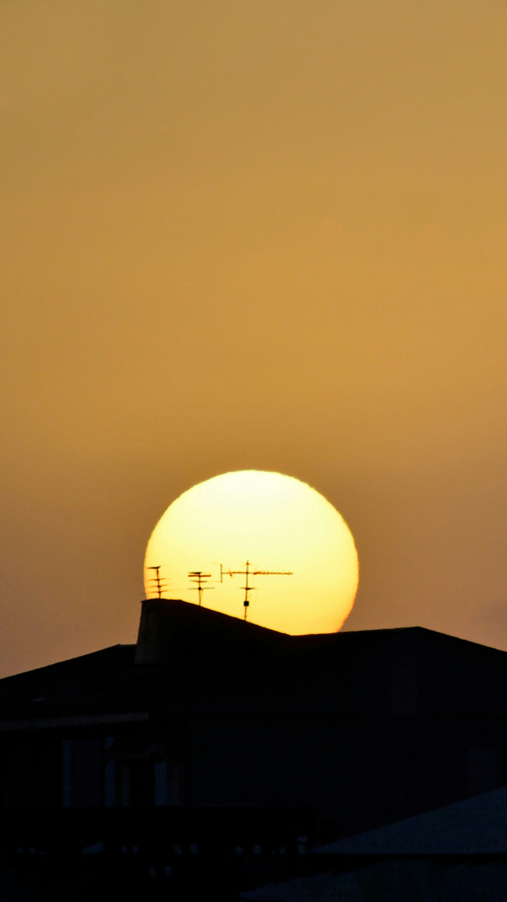 Photo by sina_senior