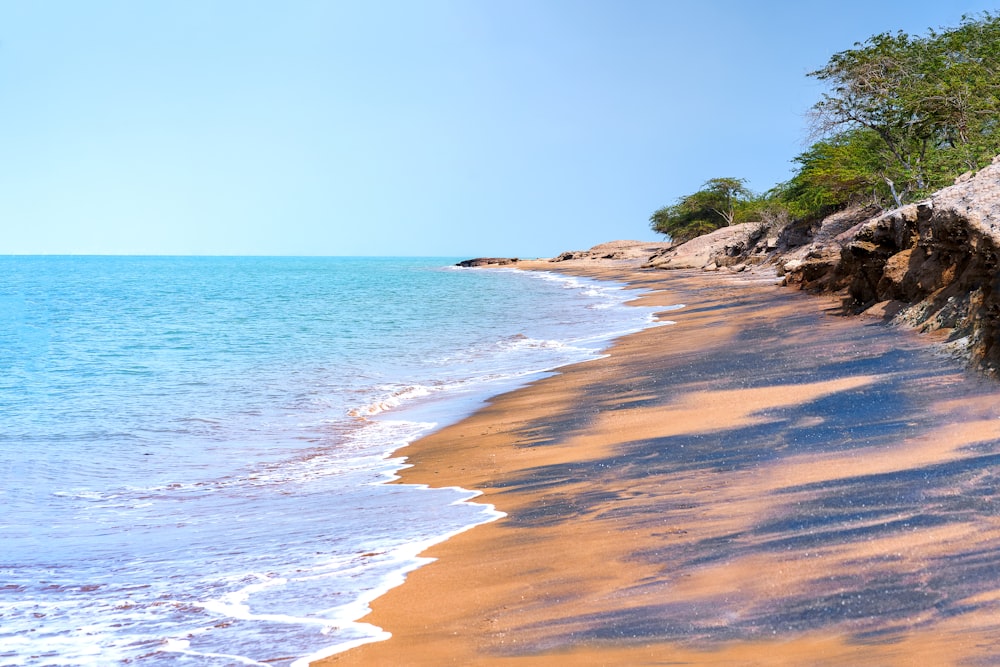 a sandy beach next to the ocean under a blue sky