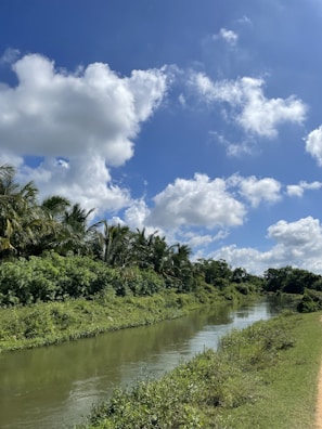 A serene view of the Jayamangali river flowing gently beside lush coconut trees at The Jungle Brook.
