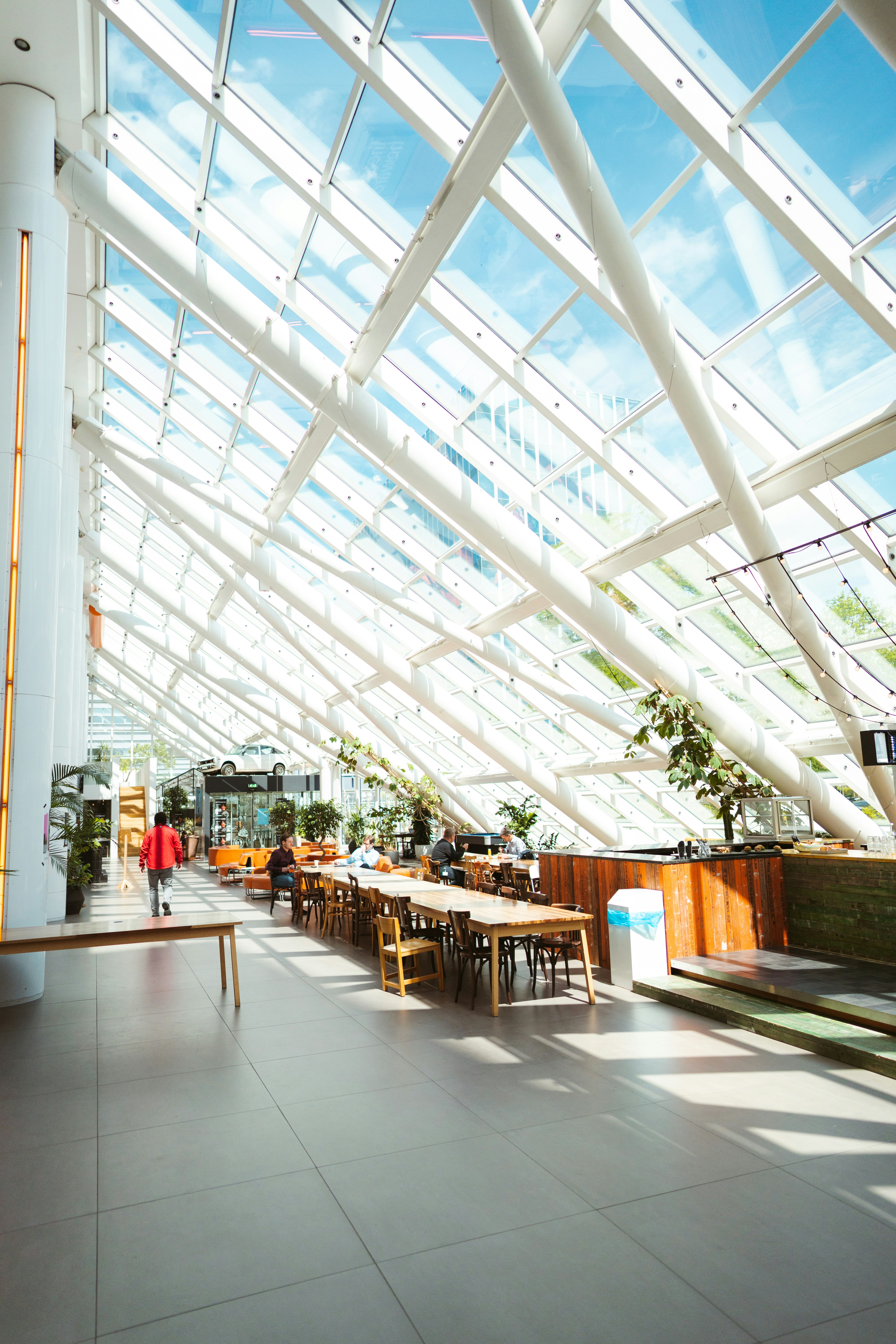 Photo by brunovdkraan