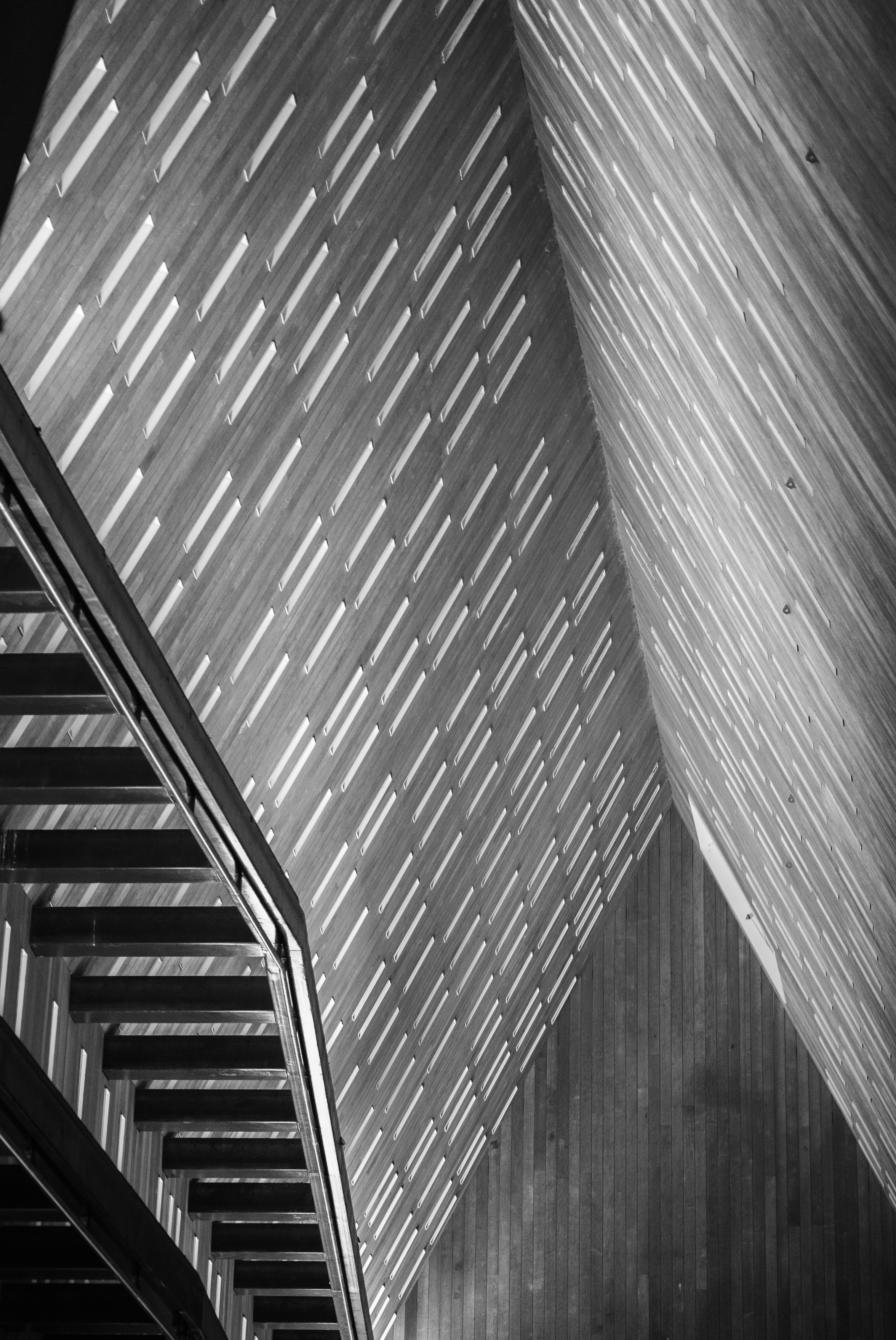 Photo by wildflowermind