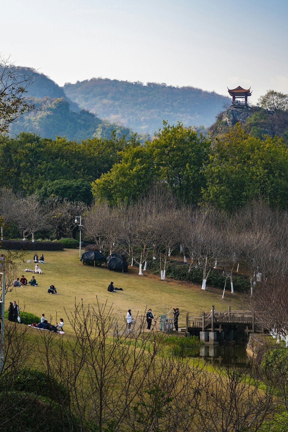 um grupo de pessoas sentadas em cima de um campo verde exuberante