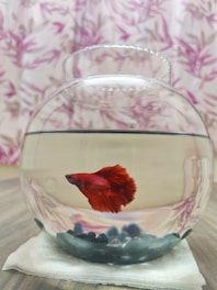 A variety of colorful betta fish accessories displayed on a wooden table.