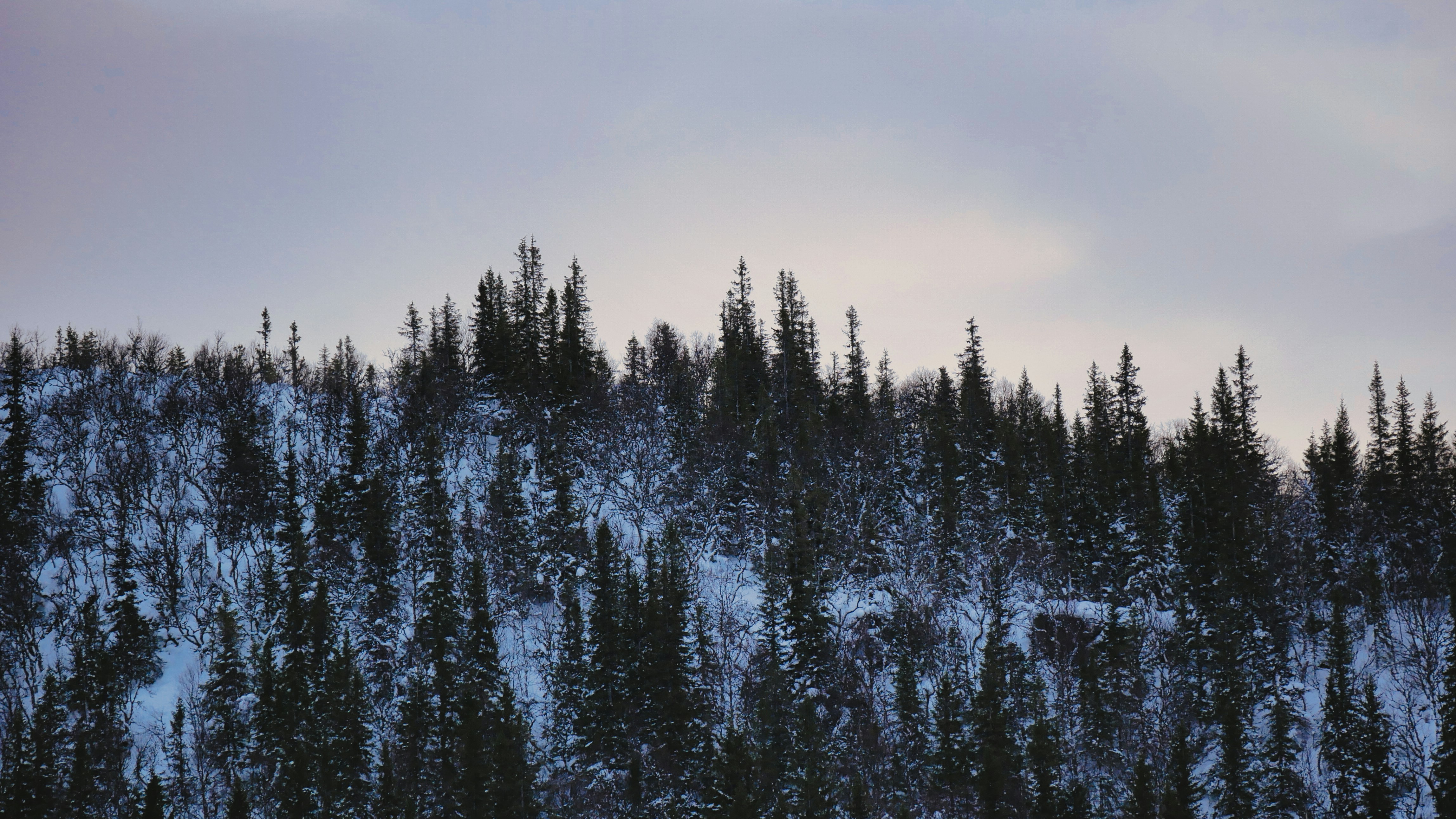 Photo by route2tushar