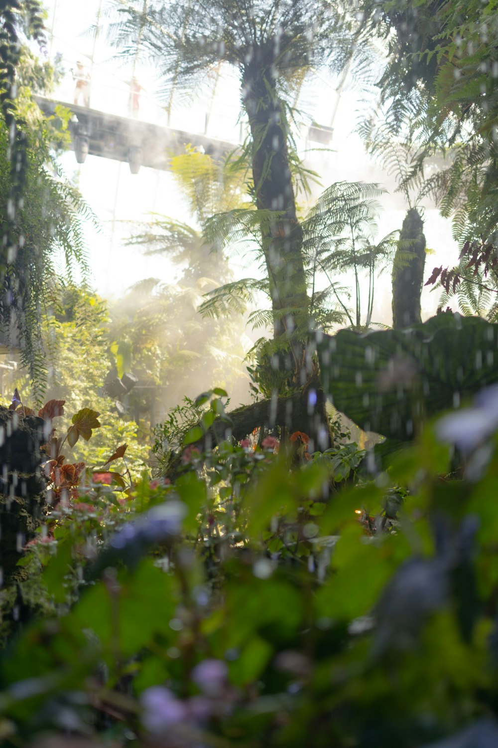 a view of a forest through a rain soaked window