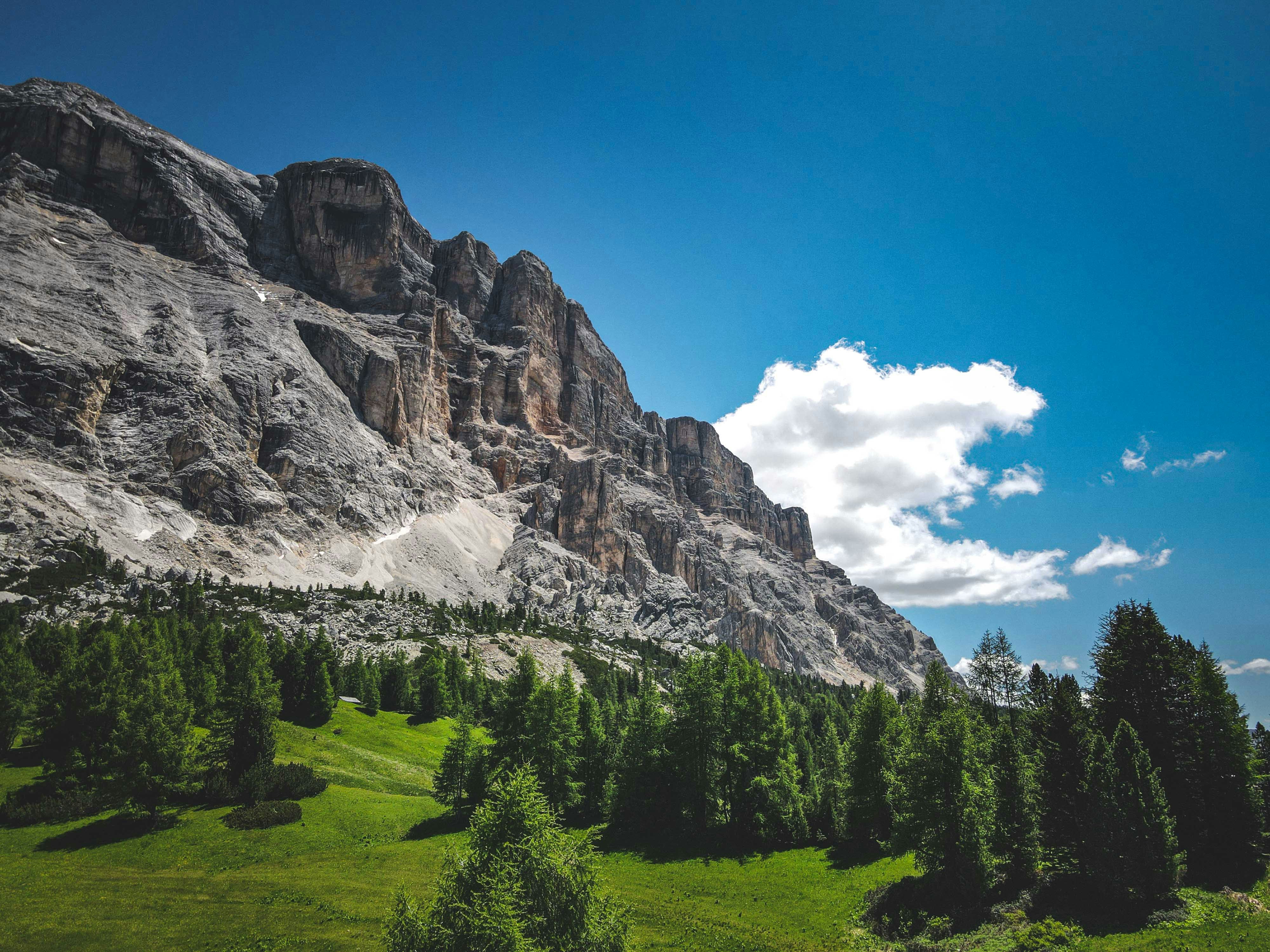 Photo by francesco_ungaro