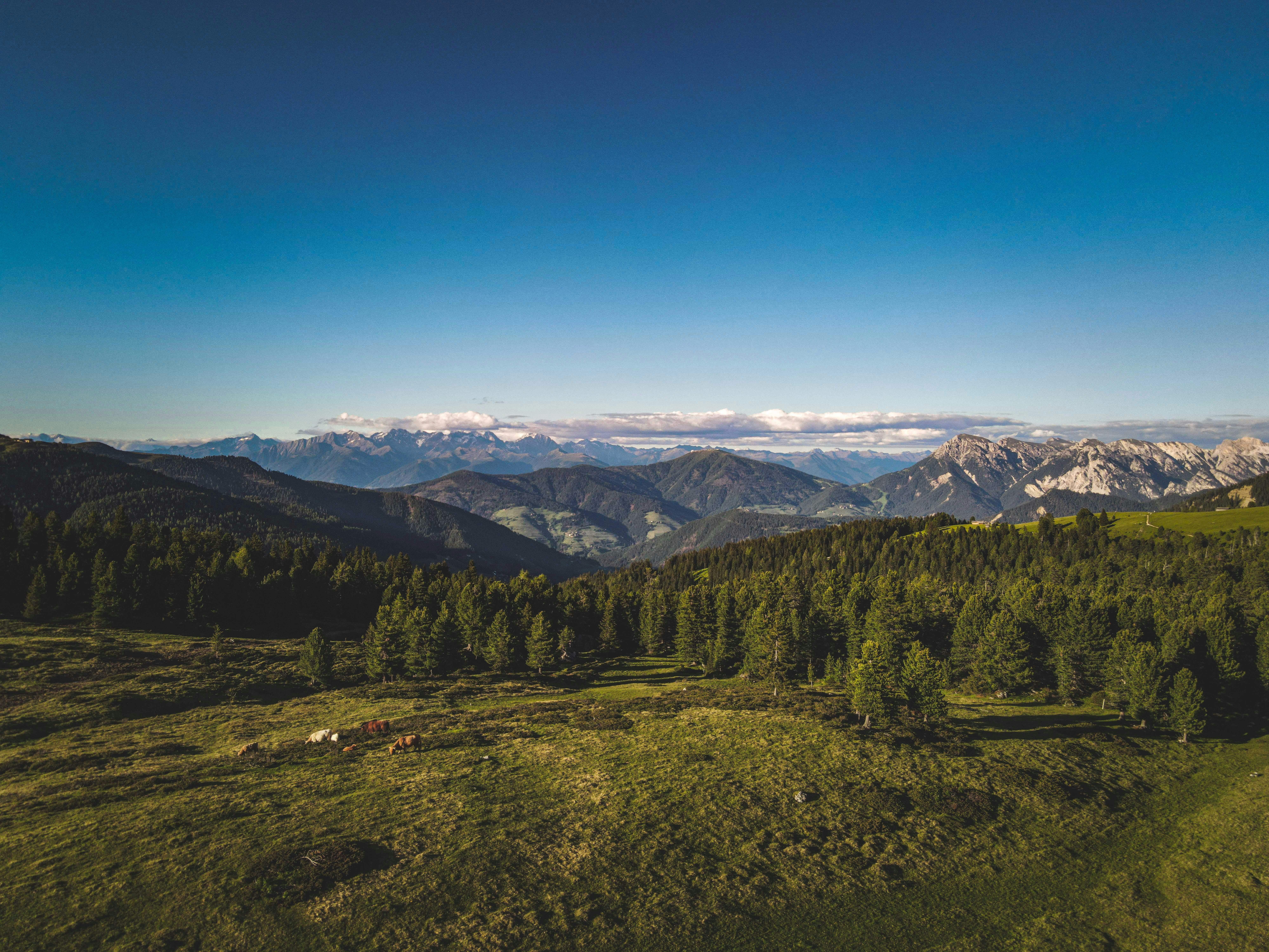 Photo by francesco_ungaro