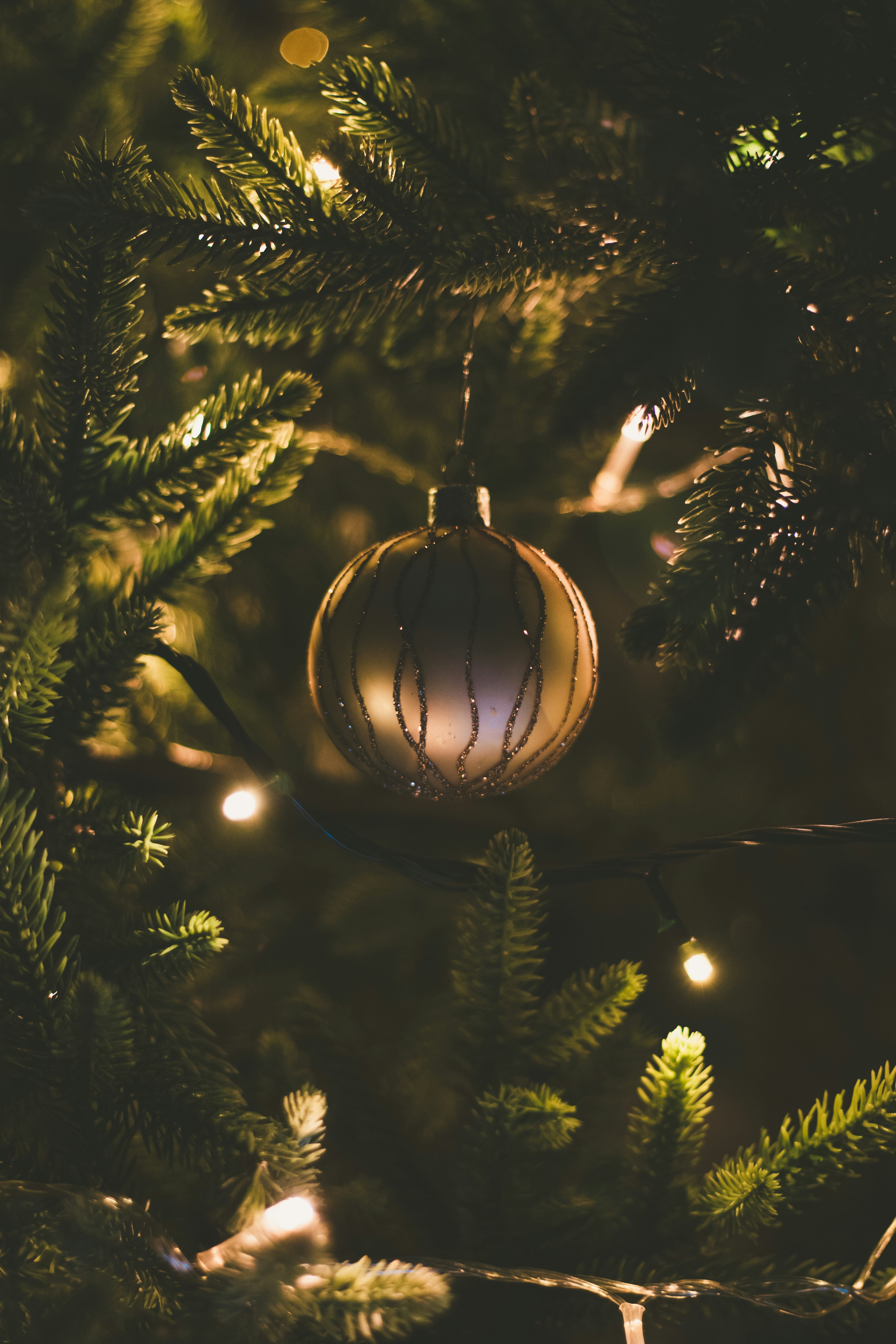 Photo by a_sabulevskiy