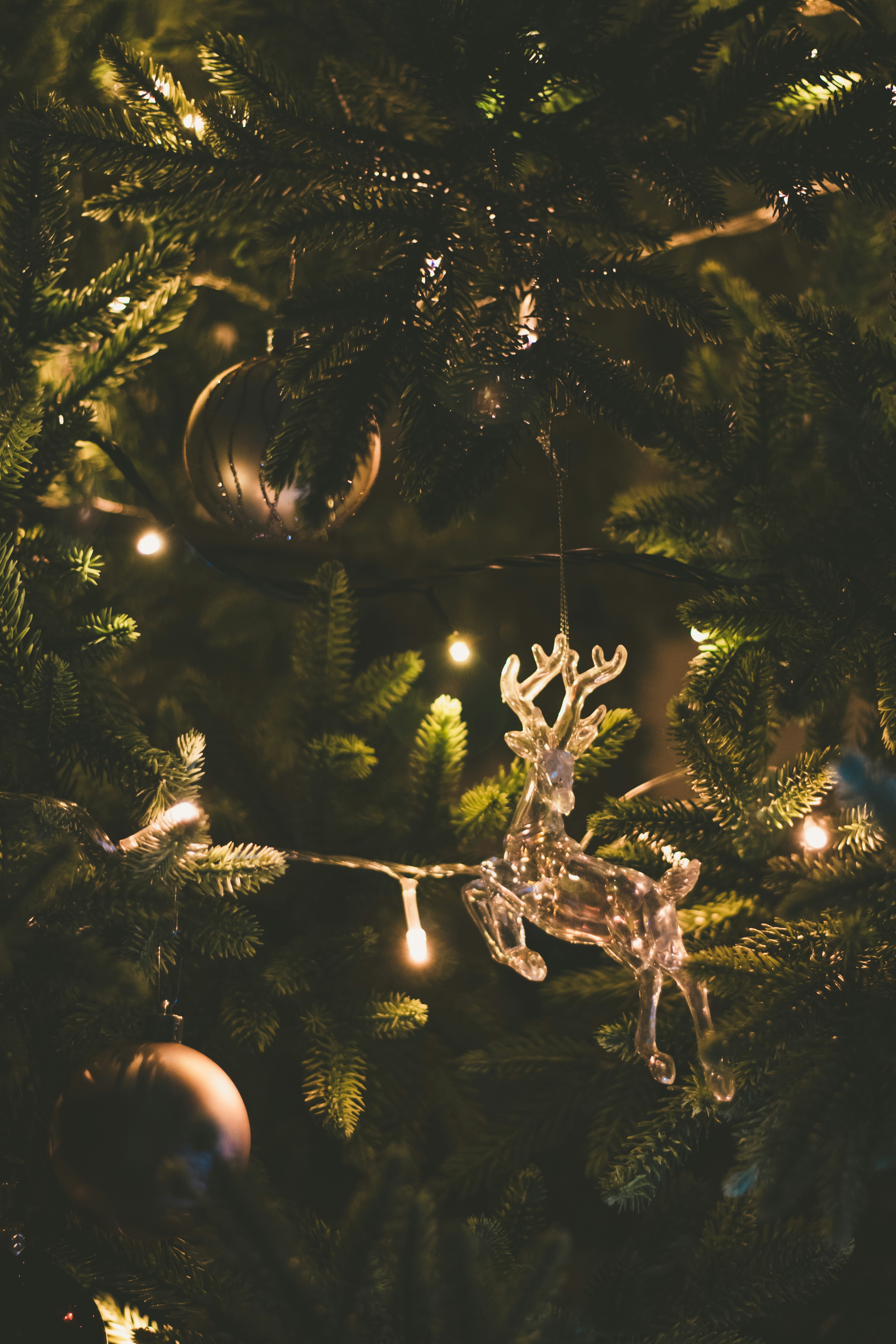 a close up of a christmas tree with ornaments