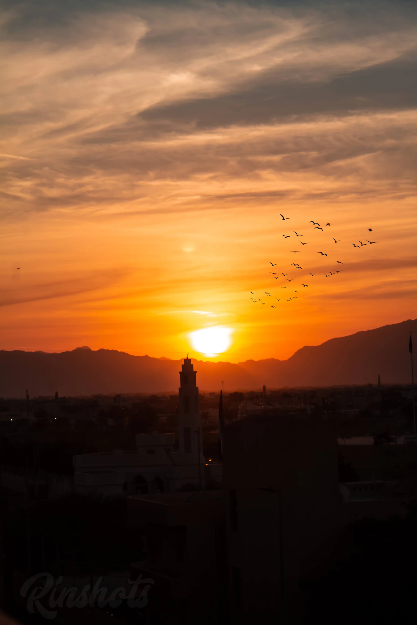 Vogelsilhouetten über Fujairah bei Sonnenuntergang