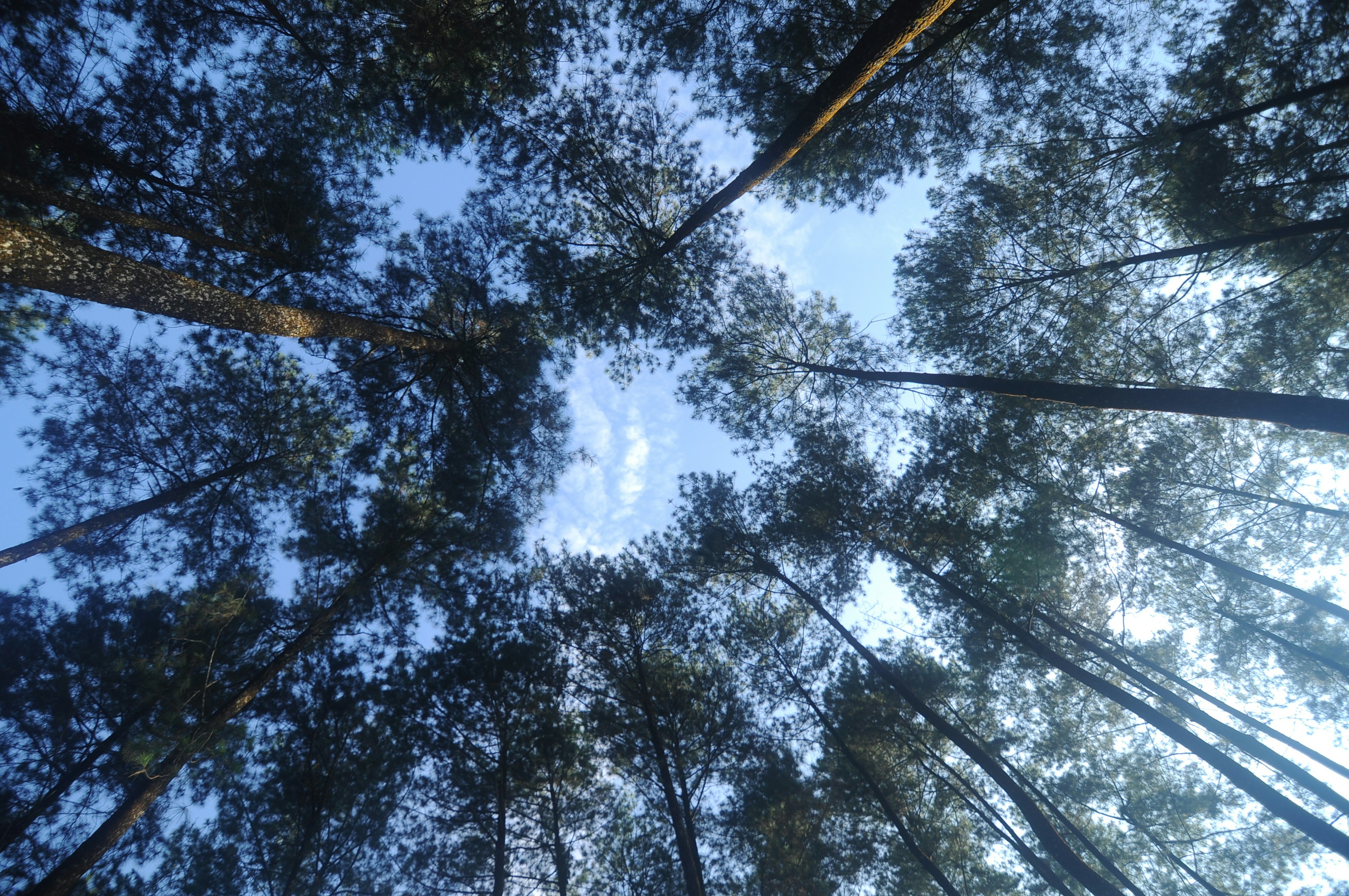 Photo by moh_fahminugraha