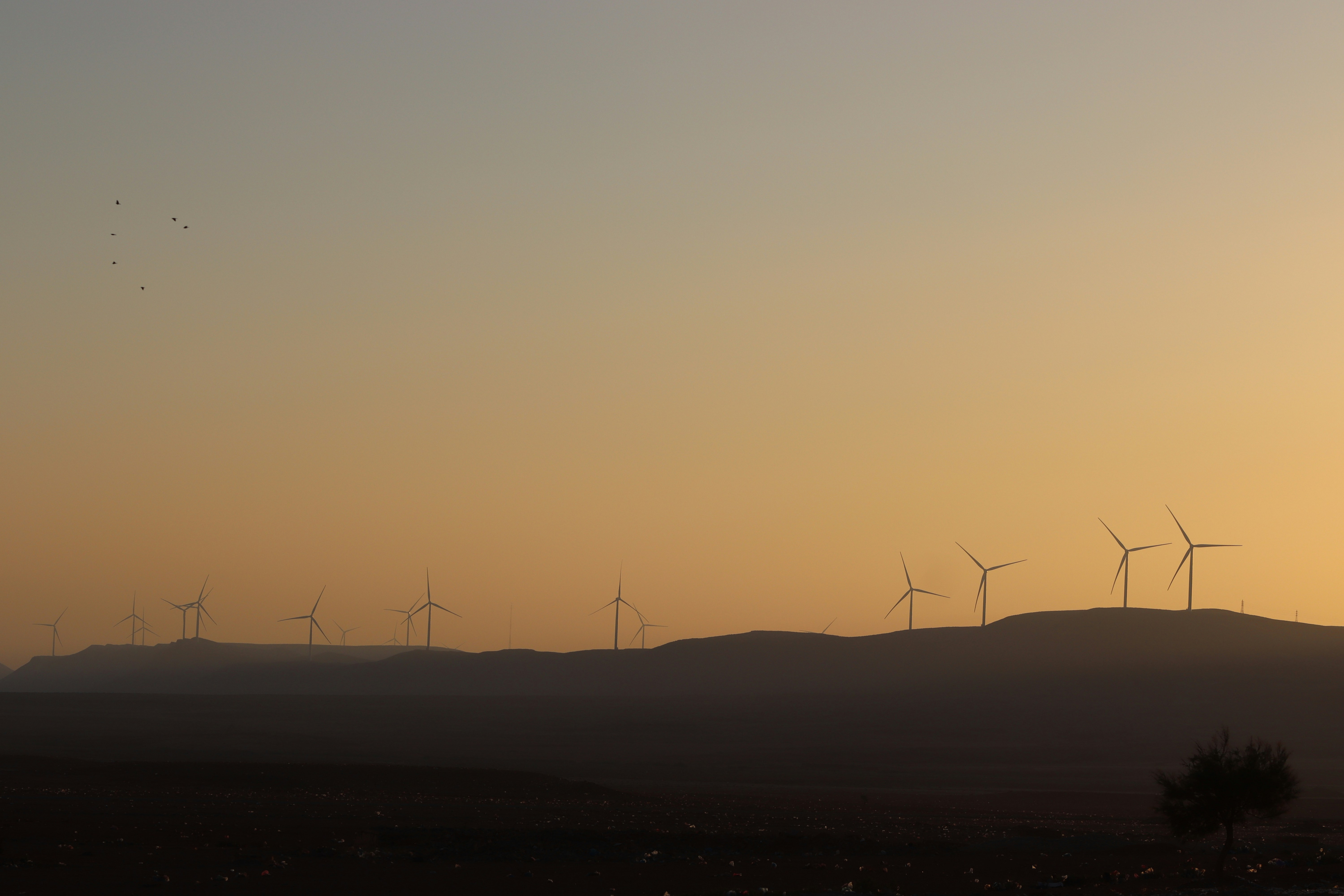 Photo by ibrahimelmaadour