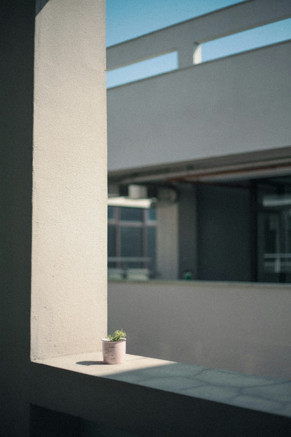a small potted plant sitting on a ledge
