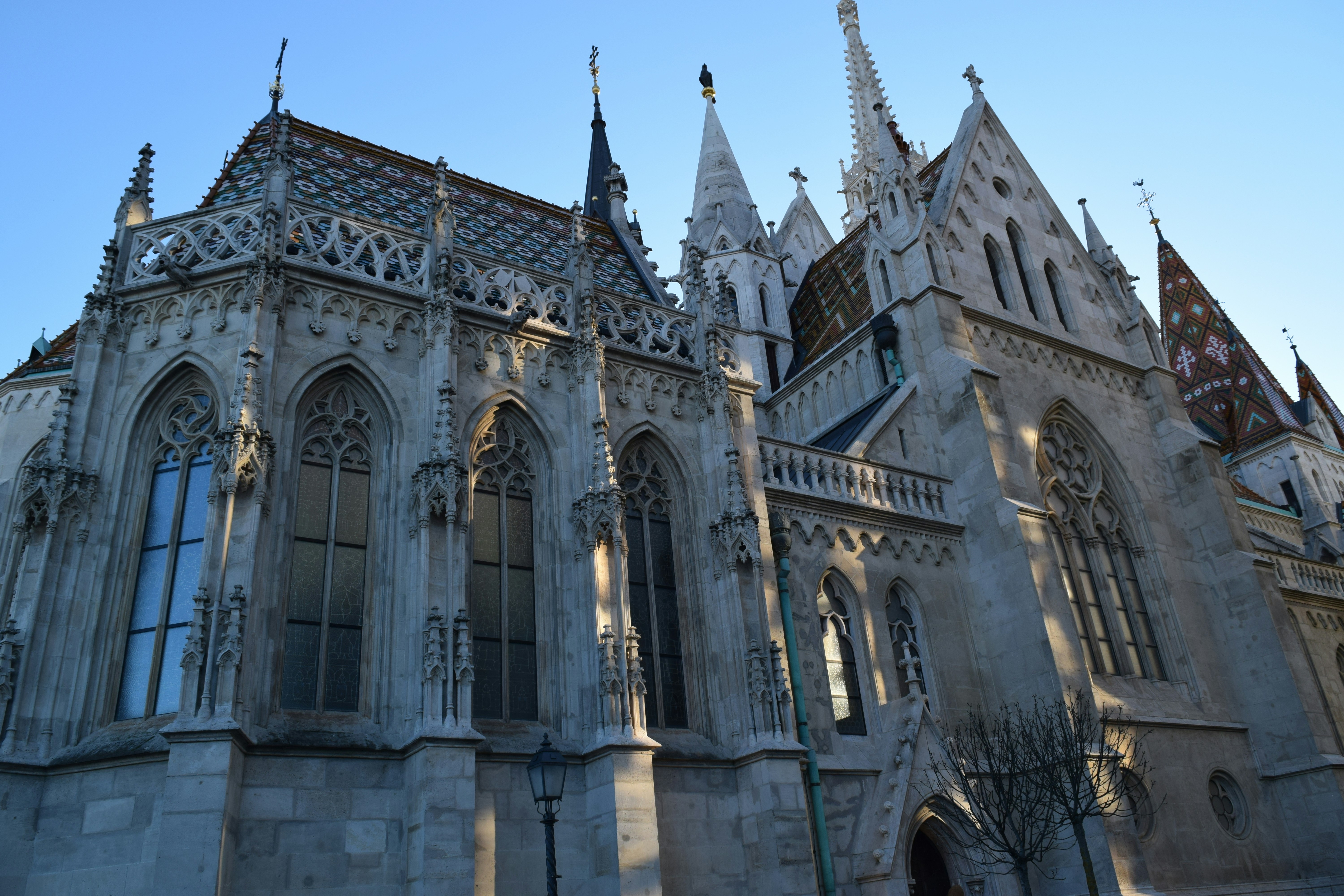 Photo by davidespinarincon