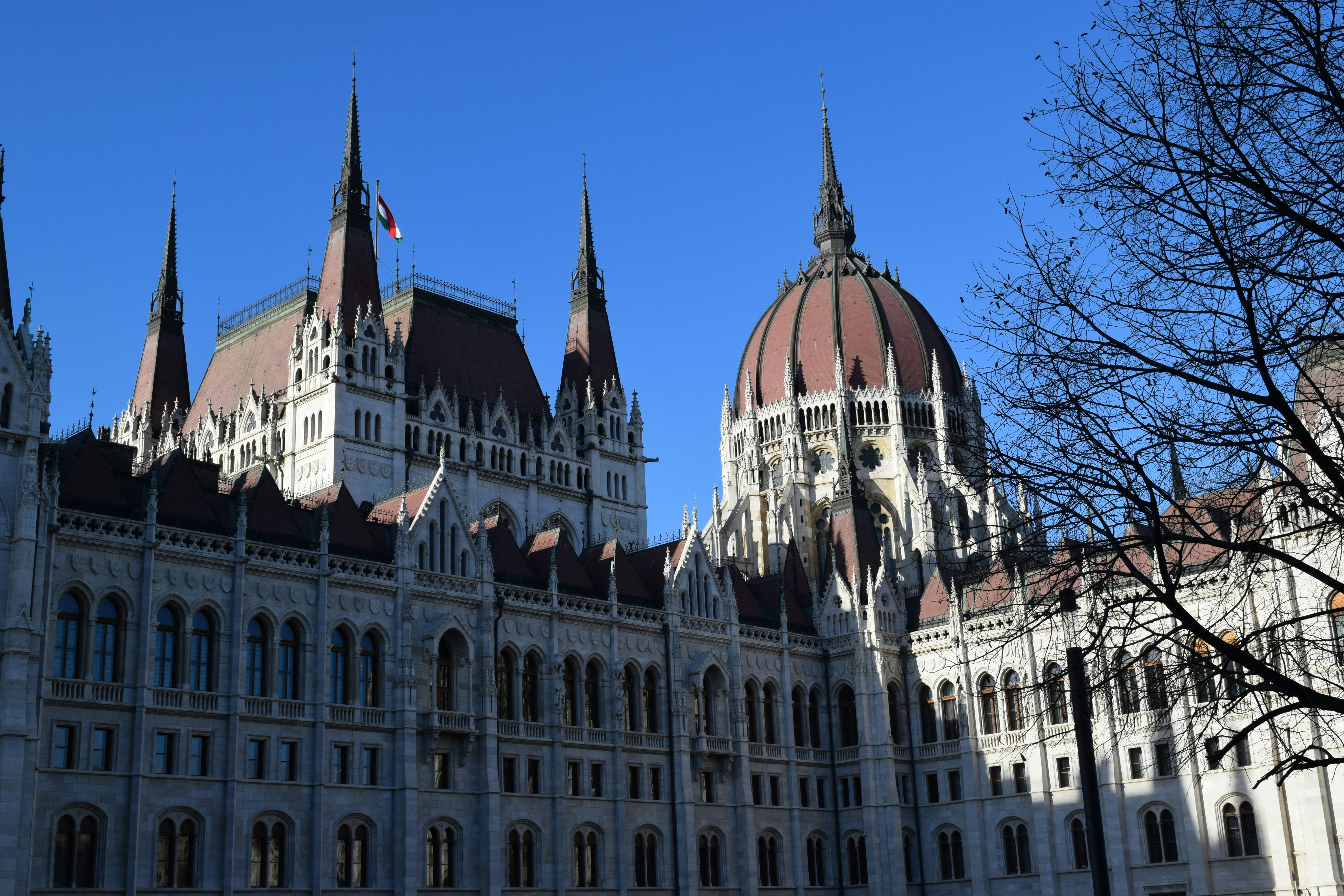 Photo by davidespinarincon