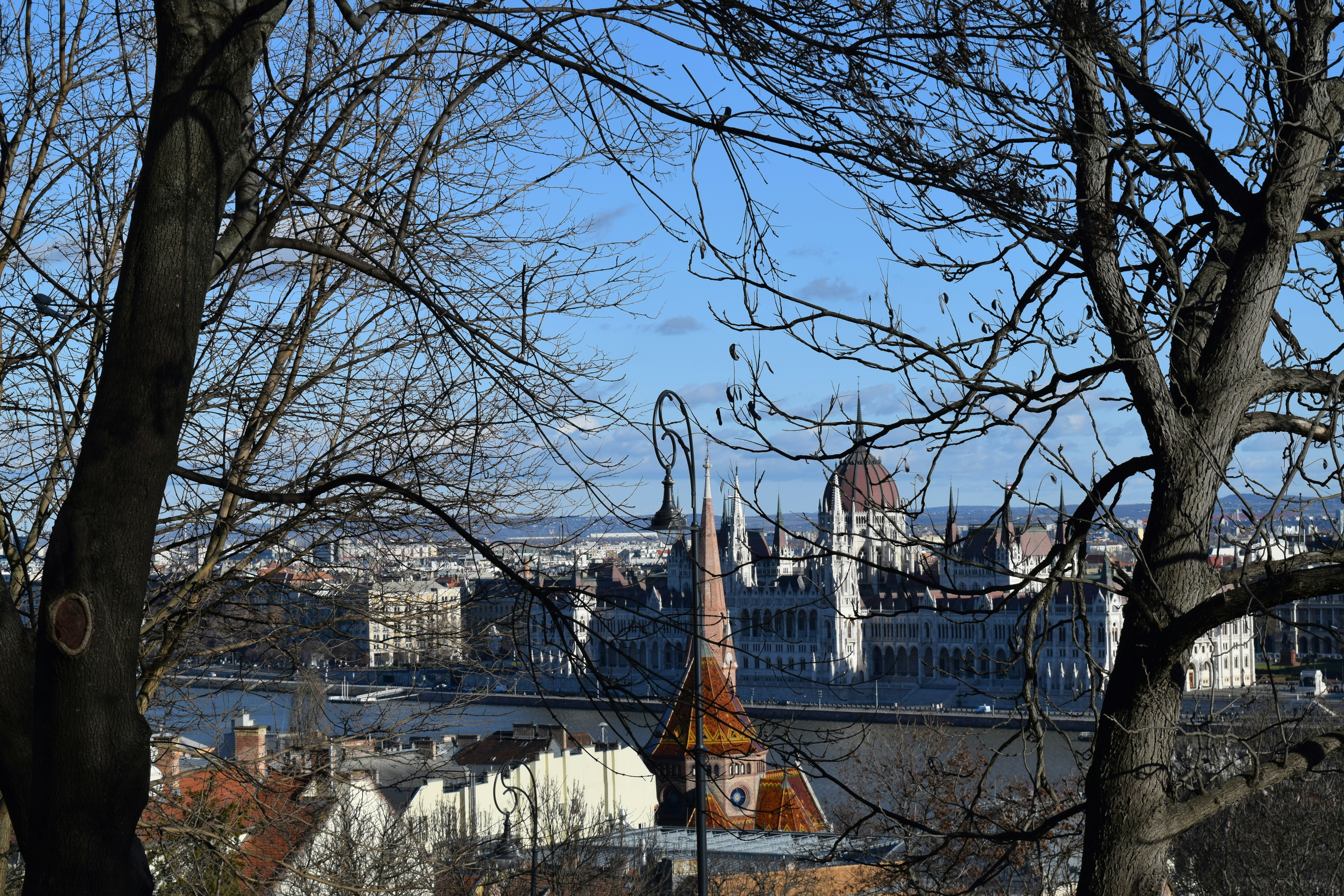 Photo by davidespinarincon