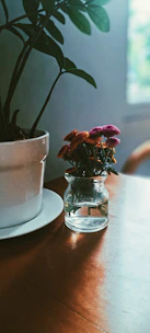 Brightly glazed ceramic vases holding wildflowers, glowing softly in natural light by a window.