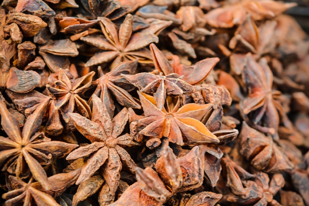 a pile of dried star anisets sitting on top of each other