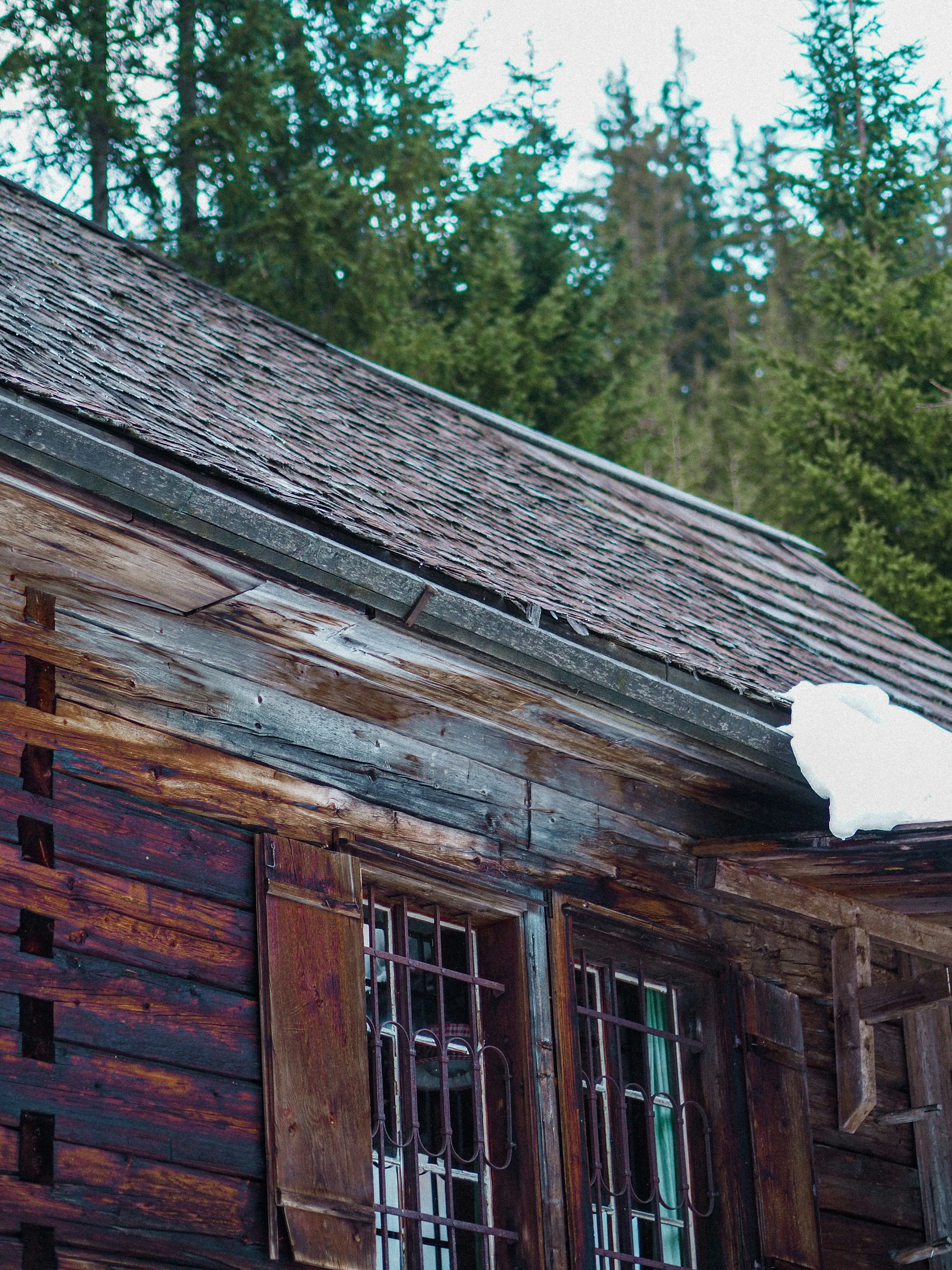 Photo by laurachouette