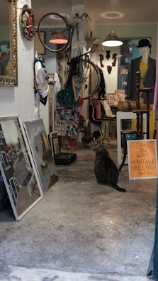 An eclectic shop interior filled with various items including a bicycle mounted on the wall, several pieces of artwork leaning against a wall, a mannequin wearing clothing, and a tabby cat sitting on the floor. The shop has a vintage vibe, with a sign inviting people to come in for art and retro items. The lighting is warm, and there are various decorative elements scattered throughout.