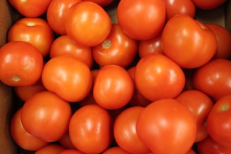 a box full of orange tomatoes in it