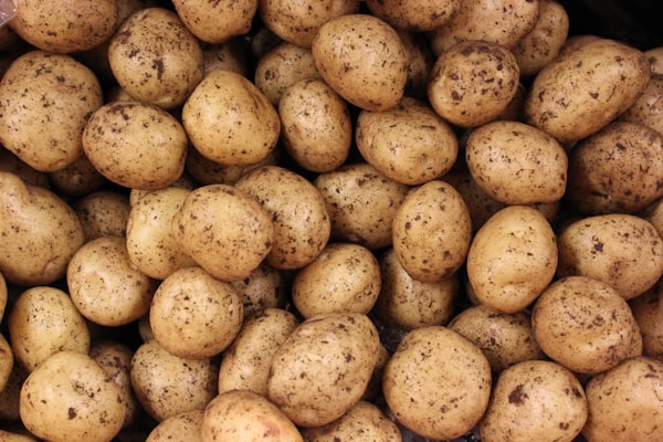 Gepureerde kabeljauw met aardappel (fase 3) — receptfoto