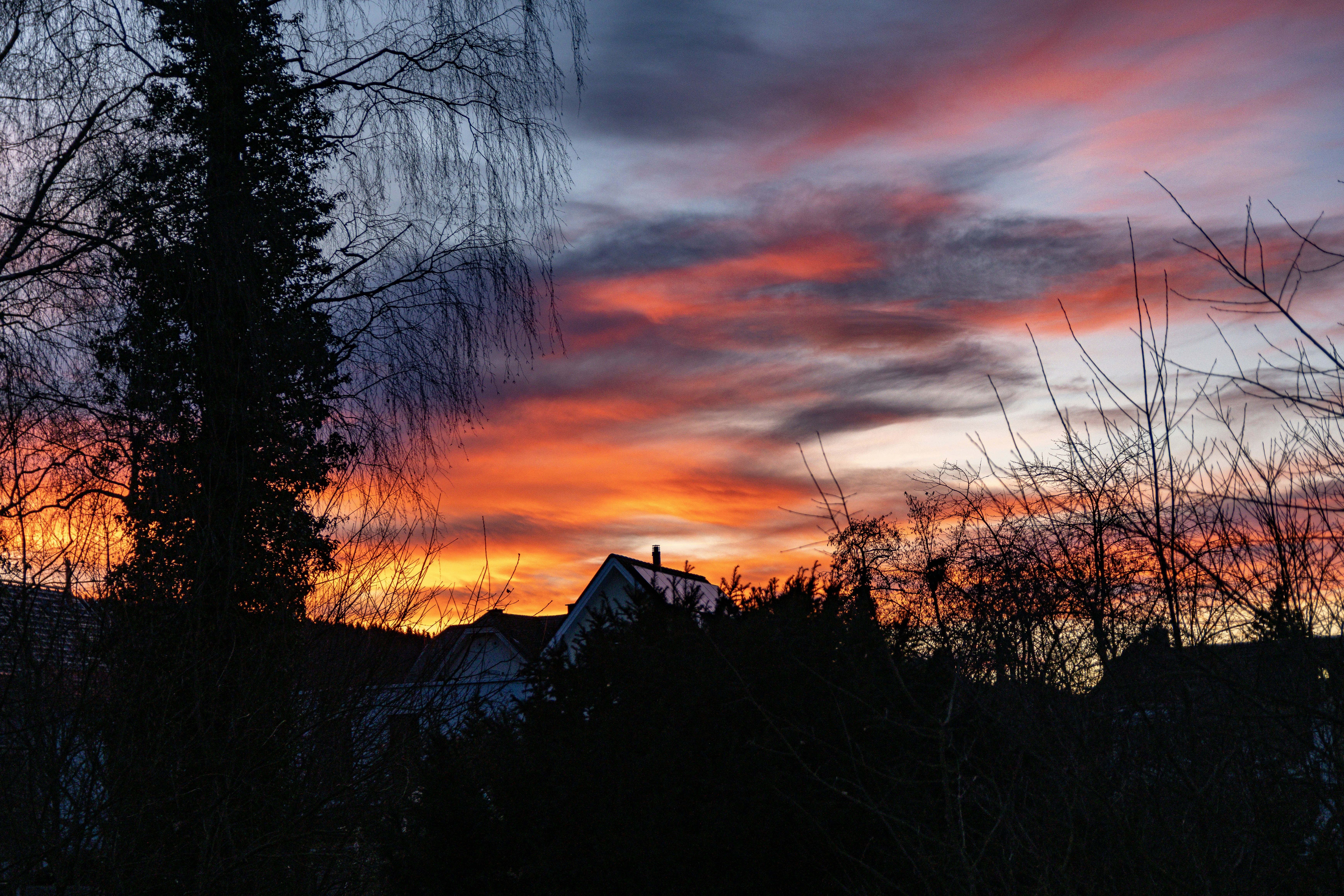 Photo by noelwangler