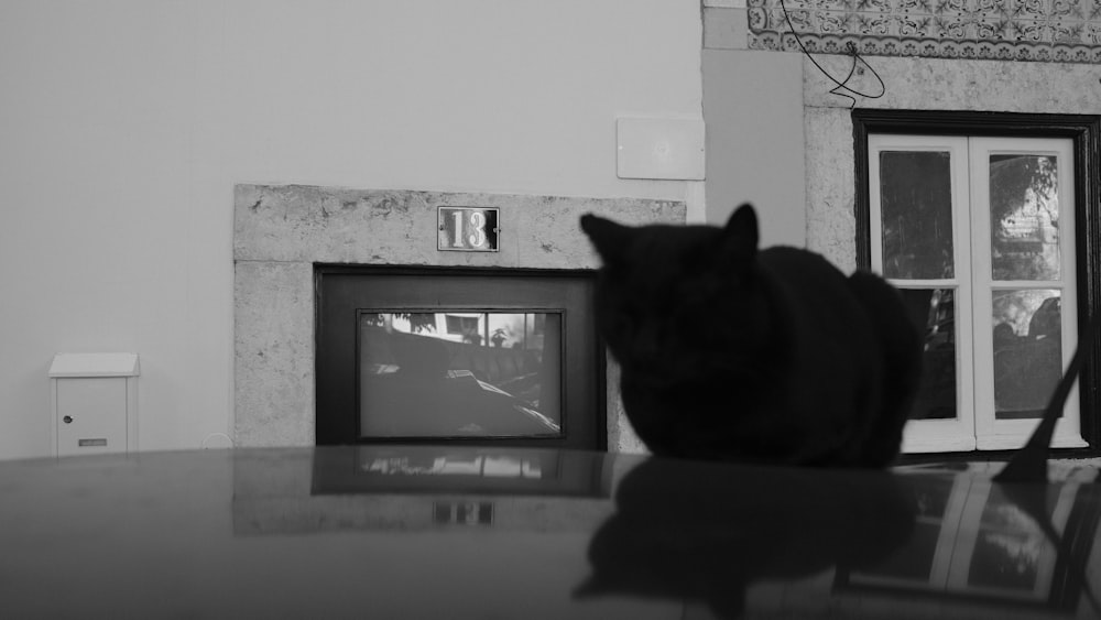 a black cat sitting on top of a table