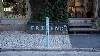 A shop entrance with a display window on the left and a wooden bench on the right. The window is decorated with yellow leaf patterns and showcases various items. In front of the store, there is a planter box with overgrown green vines and the word FRIEND written in white. A light blue pole stands in the center on a mosaic-tiled sidewalk.