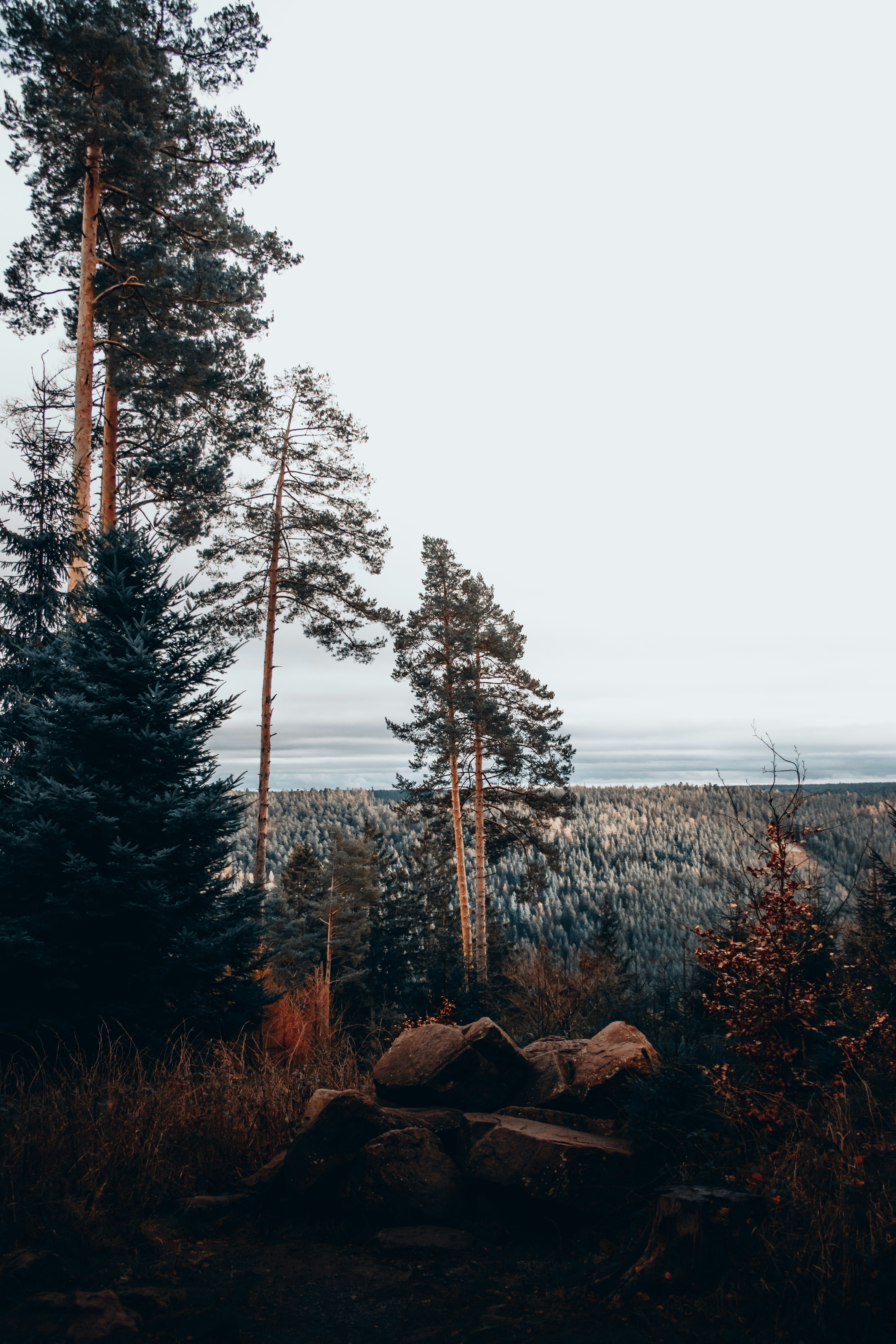 Photo by esmirbilali