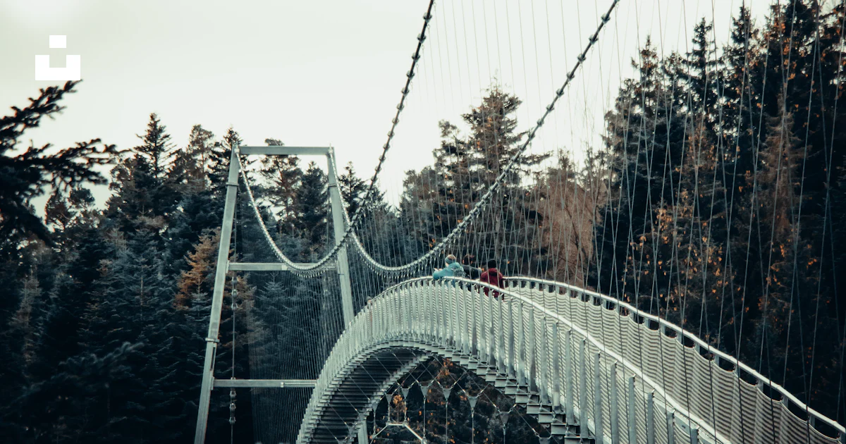 A long suspension bridge over a forest filled with trees photo – Free ...