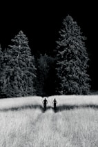 High-contrast 35mm film style capture of cyclists racing through a foggy European mountain pass.