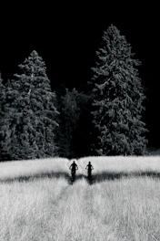 Cyclists riding rugged trails across vast Mongolian grasslands under a dramatic sky.