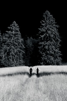 High-contrast 35mm film style capture of cyclists racing through a foggy European mountain pass.