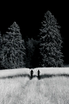 Cyclists riding rugged trails across vast Mongolian grasslands under a dramatic sky.